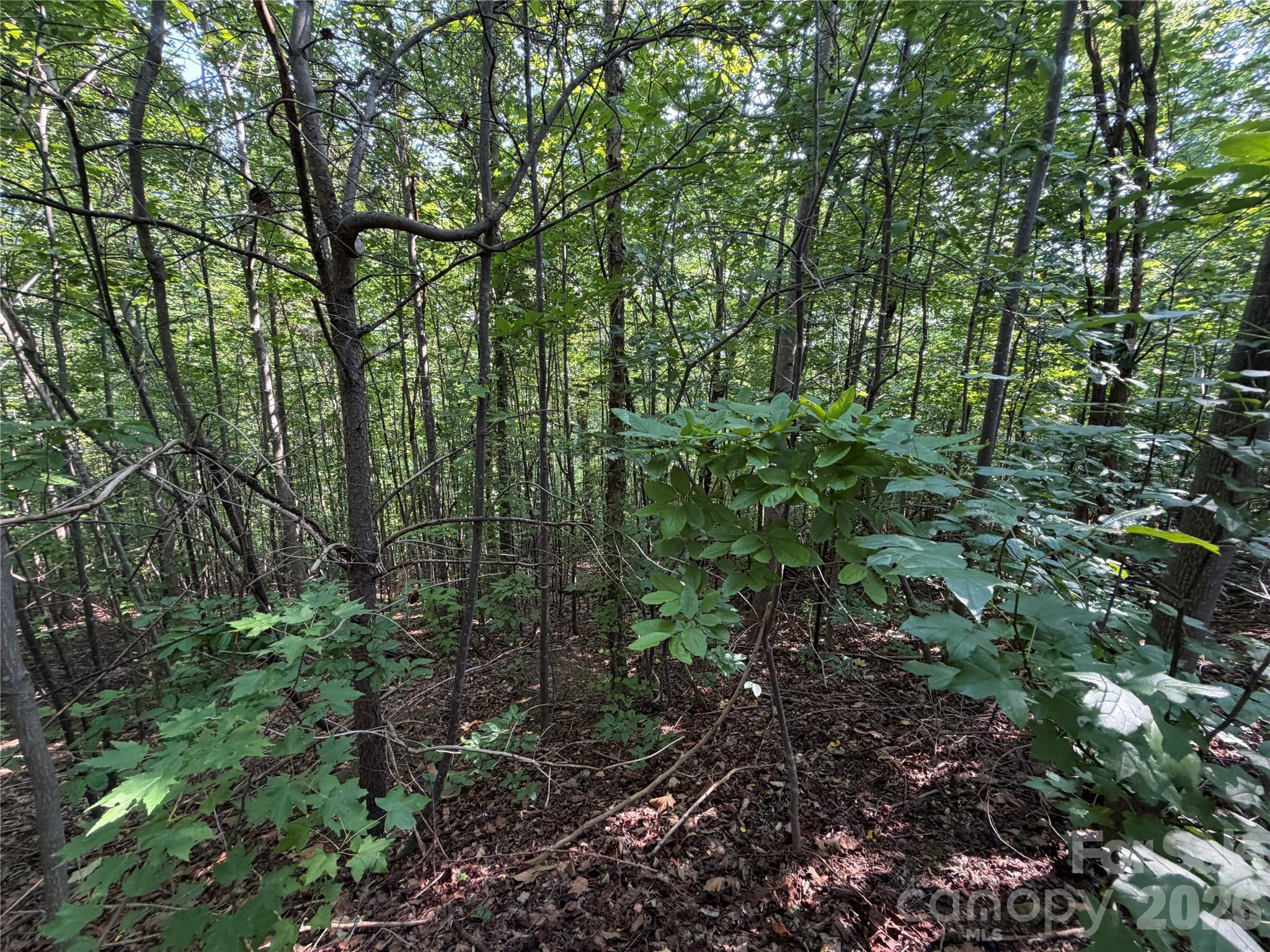 Lot at 00 Holland Drive, Columbus, photo 18 of 42