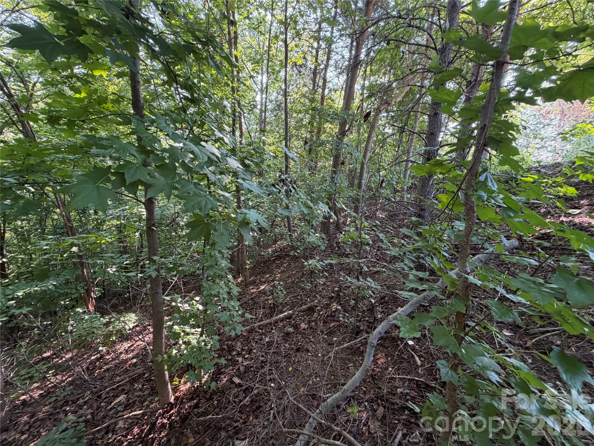Lot at 00 Holland Drive, Columbus, photo 19 of 42