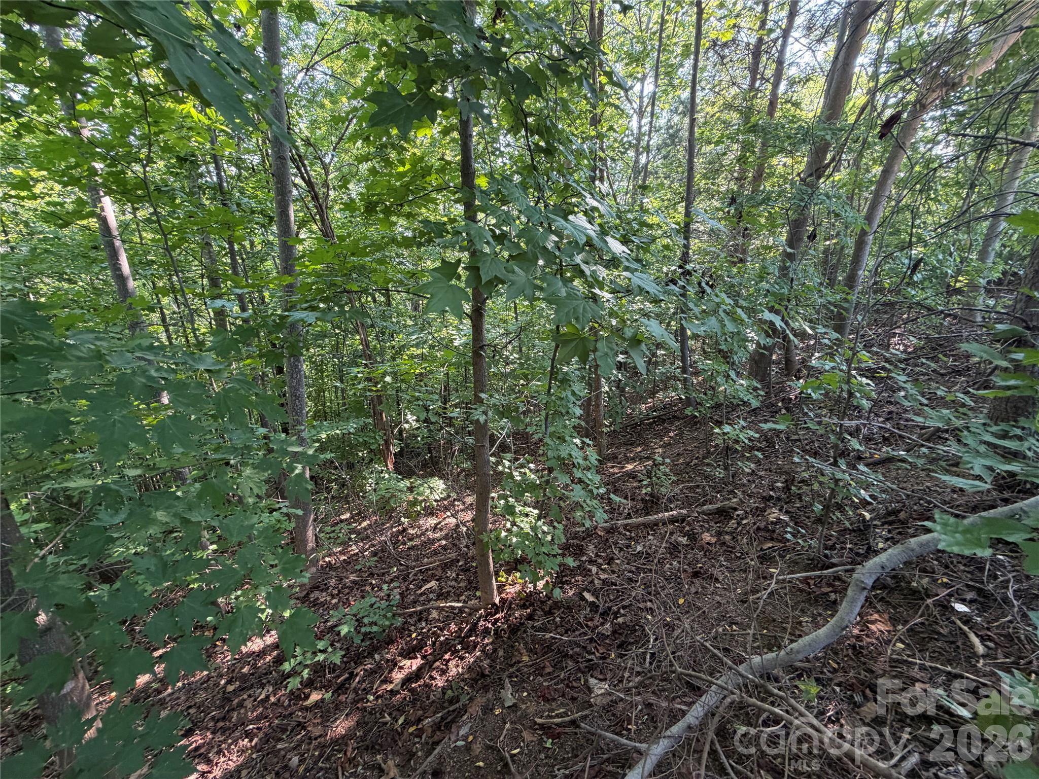 Lot at 00 Holland Drive, Columbus, photo 20 of 42