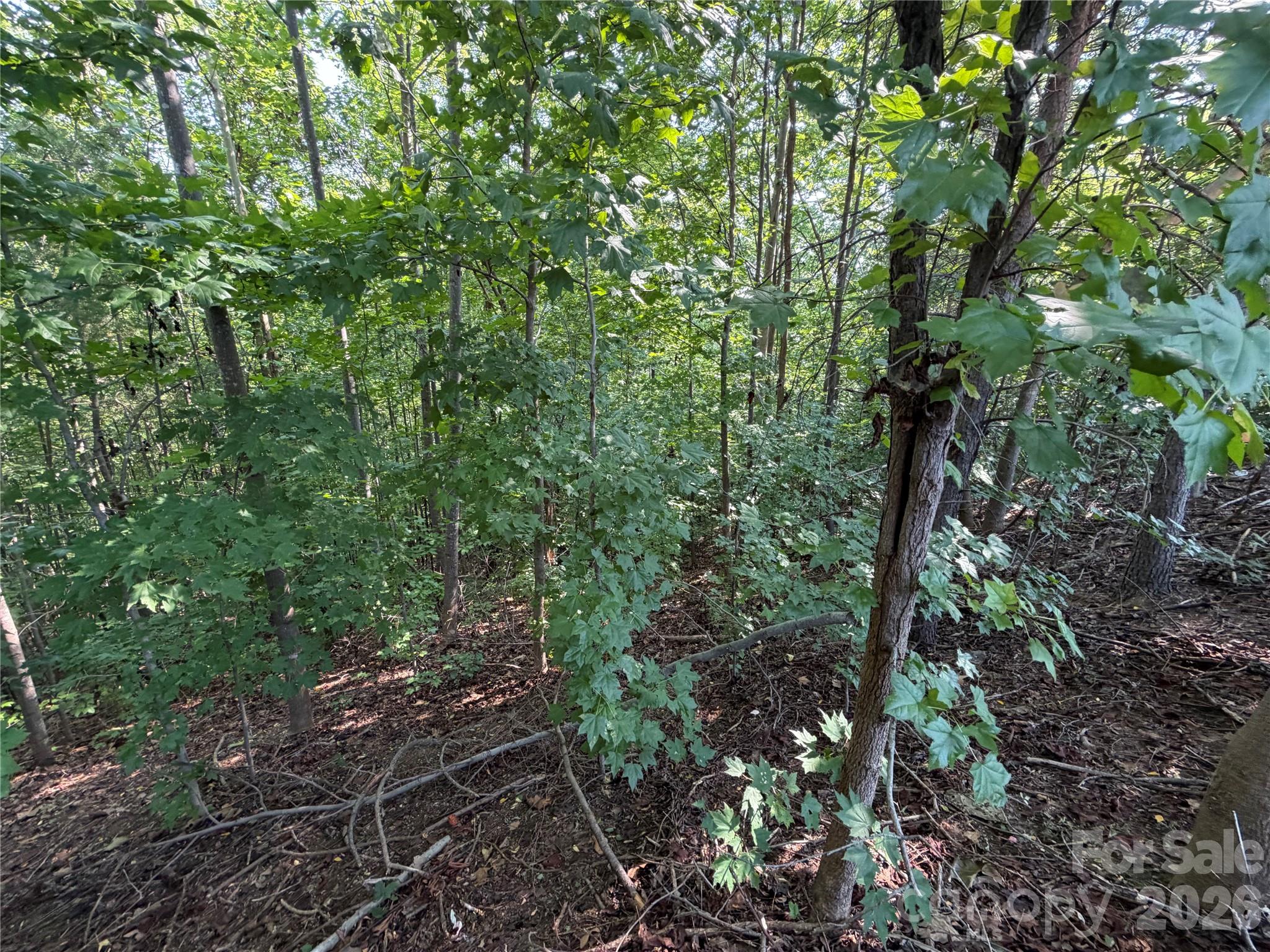 Lot at 00 Holland Drive, Columbus, photo 21 of 42