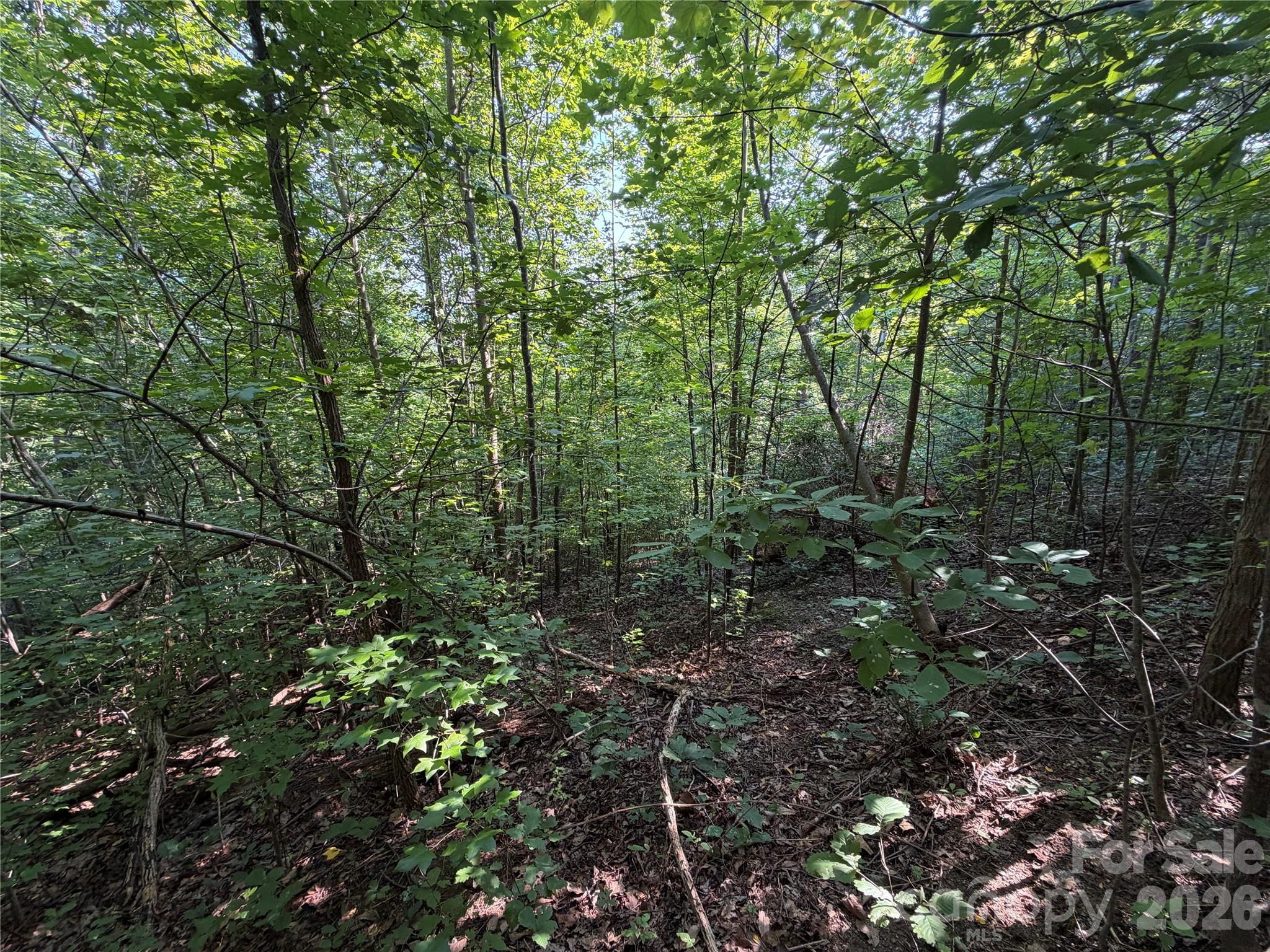 Lot at 00 Holland Drive, Columbus, photo 25 of 42