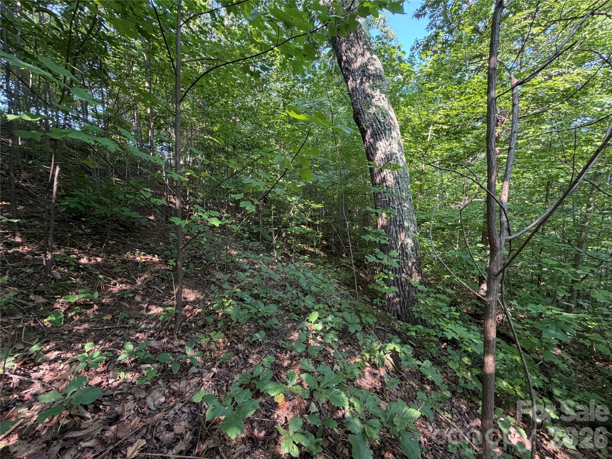Lot at 00 Holland Drive, Columbus, photo 26 of 42