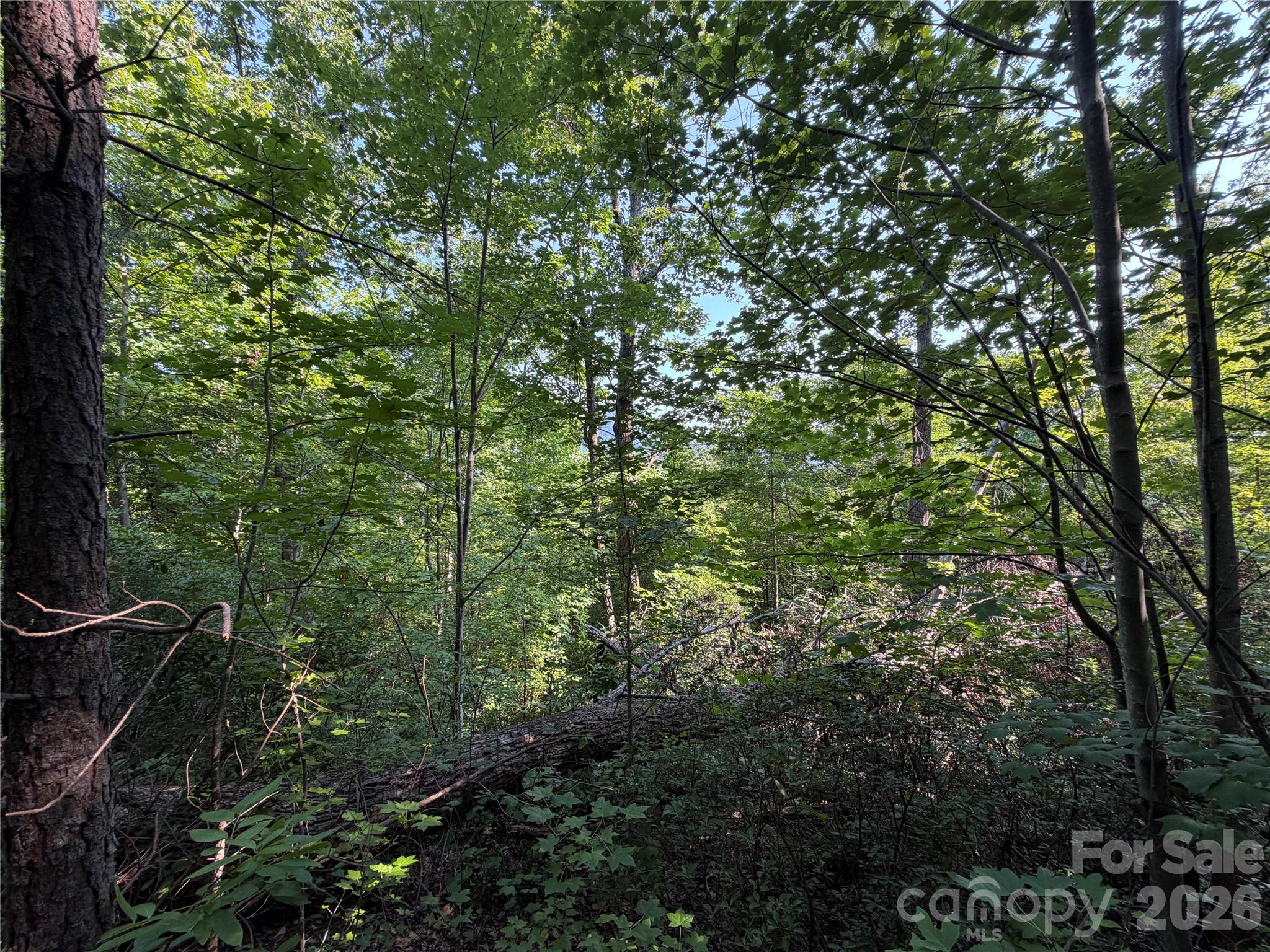 Lot at 00 Holland Drive, Columbus, photo 31 of 42