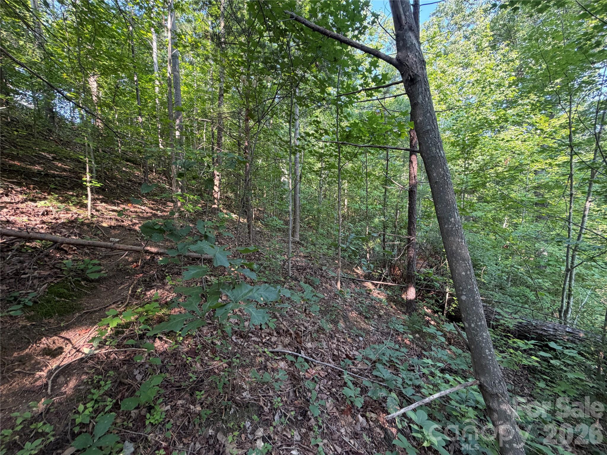 Lot at 00 Holland Drive, Columbus, photo 32 of 42