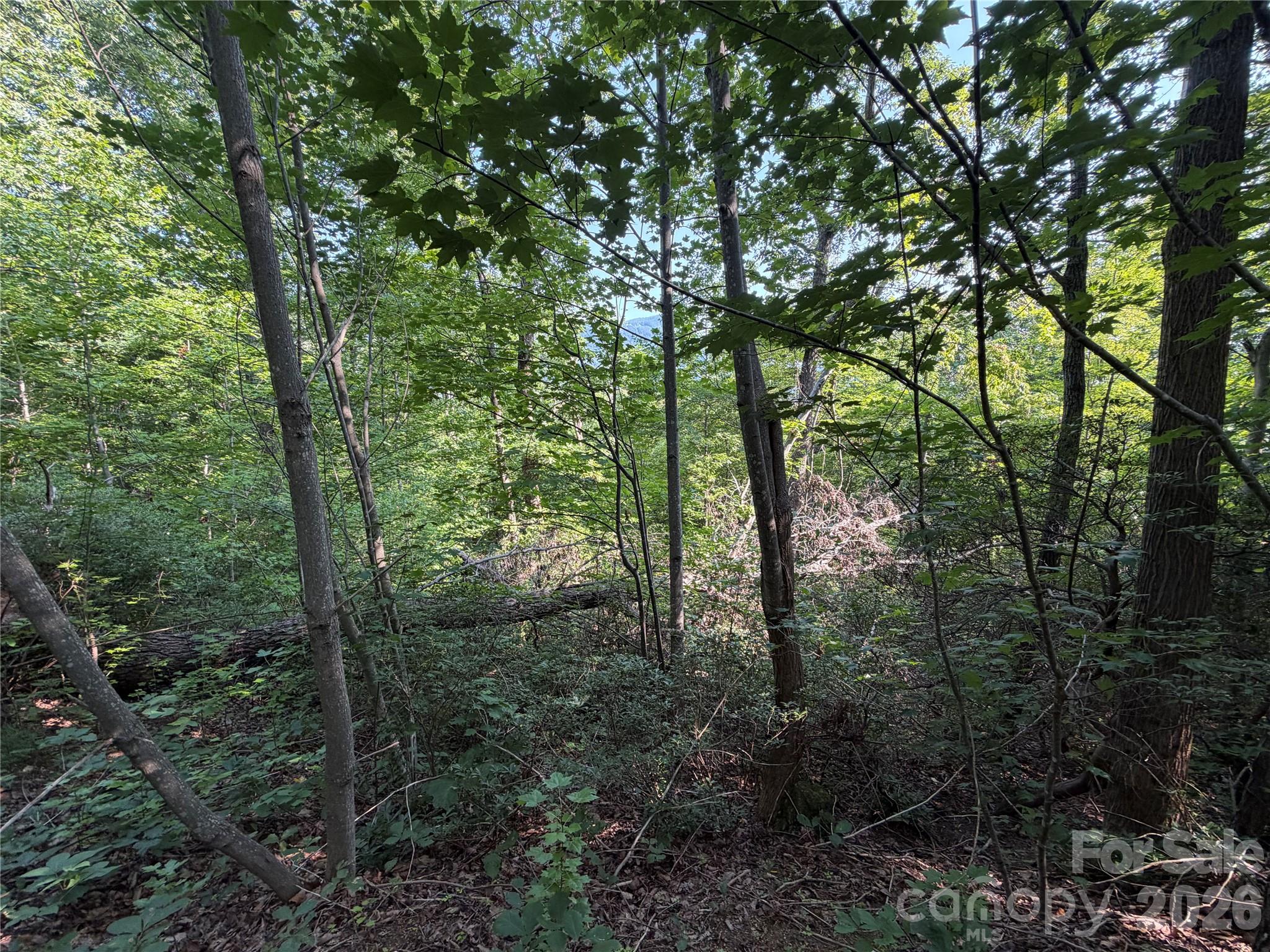 Lot at 00 Holland Drive, Columbus, photo 33 of 42
