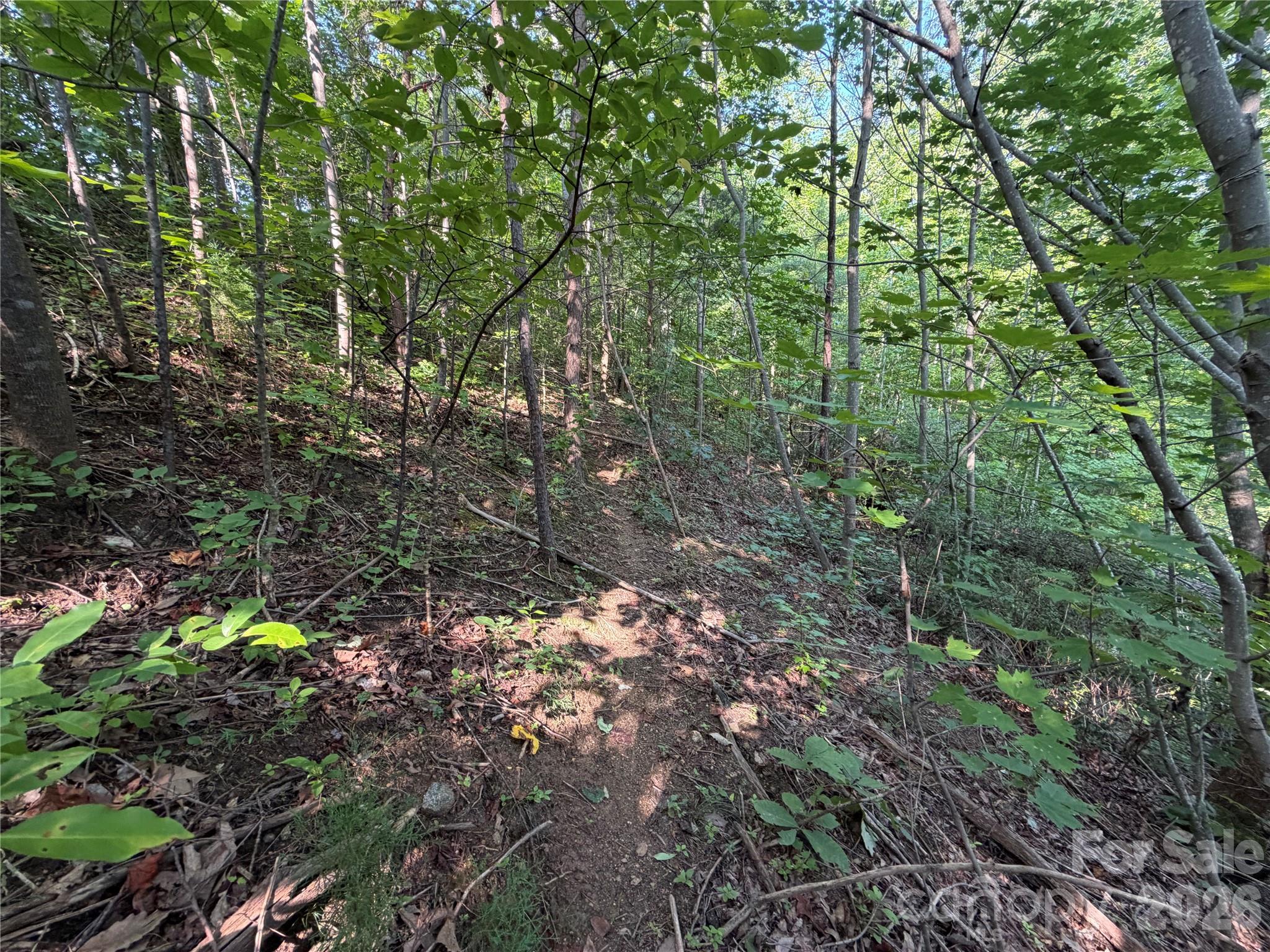 Deer Trails - 00 Holland Drive, Columbus