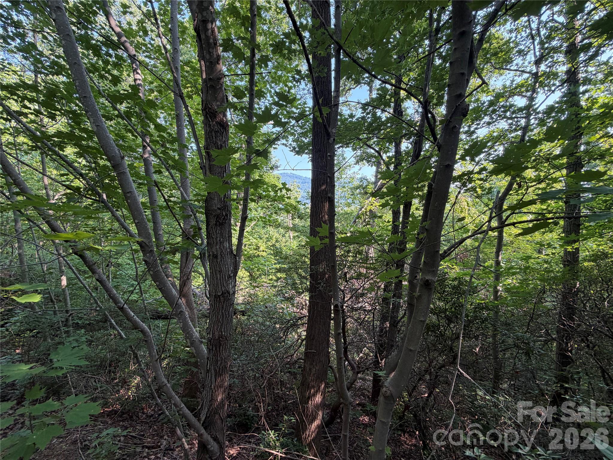 Glimpse of a beautiful mountain view through the trees. - 00 Holland Drive, Columbus