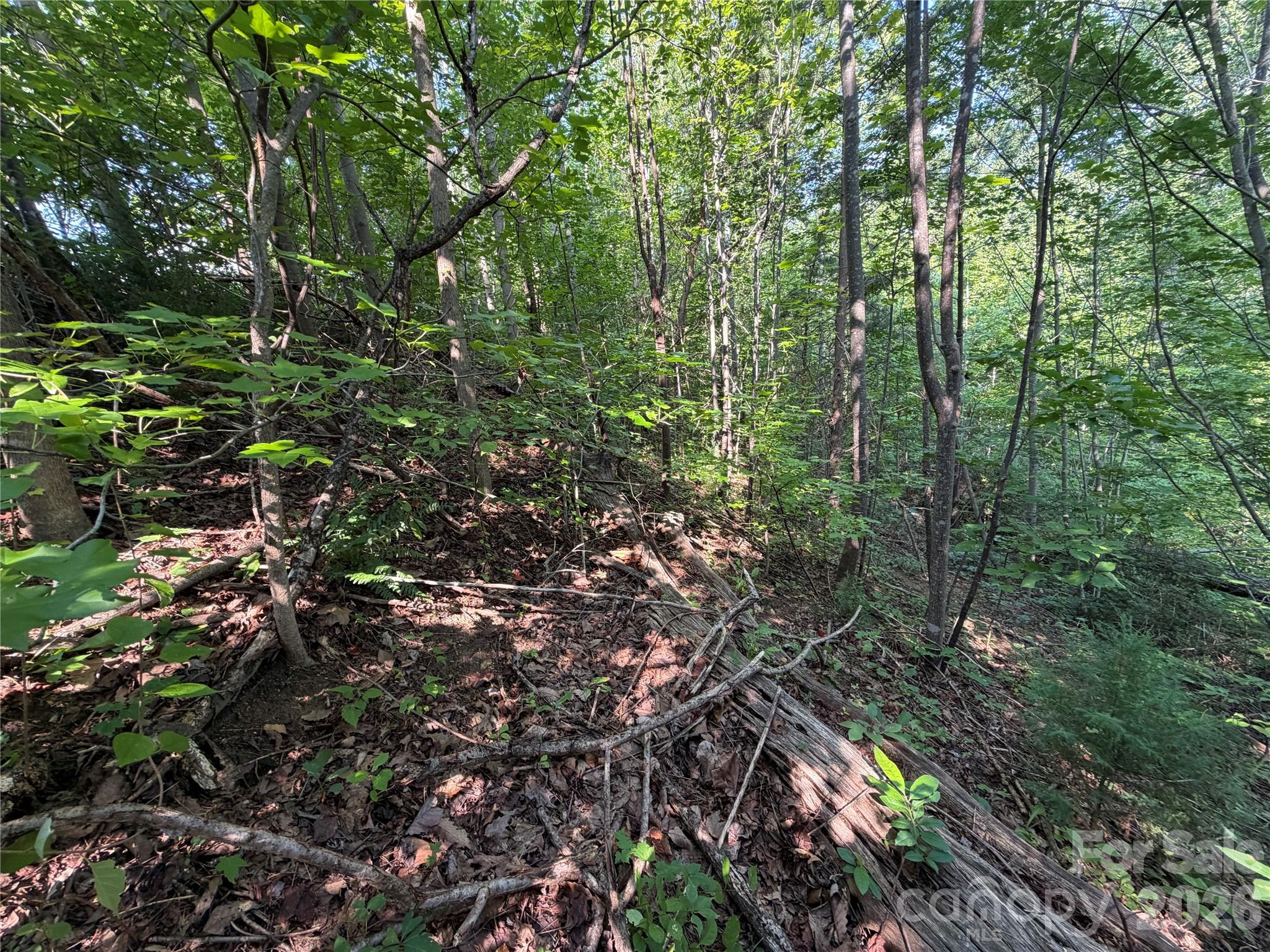 Lot at 00 Holland Drive, Columbus, photo 36 of 42
