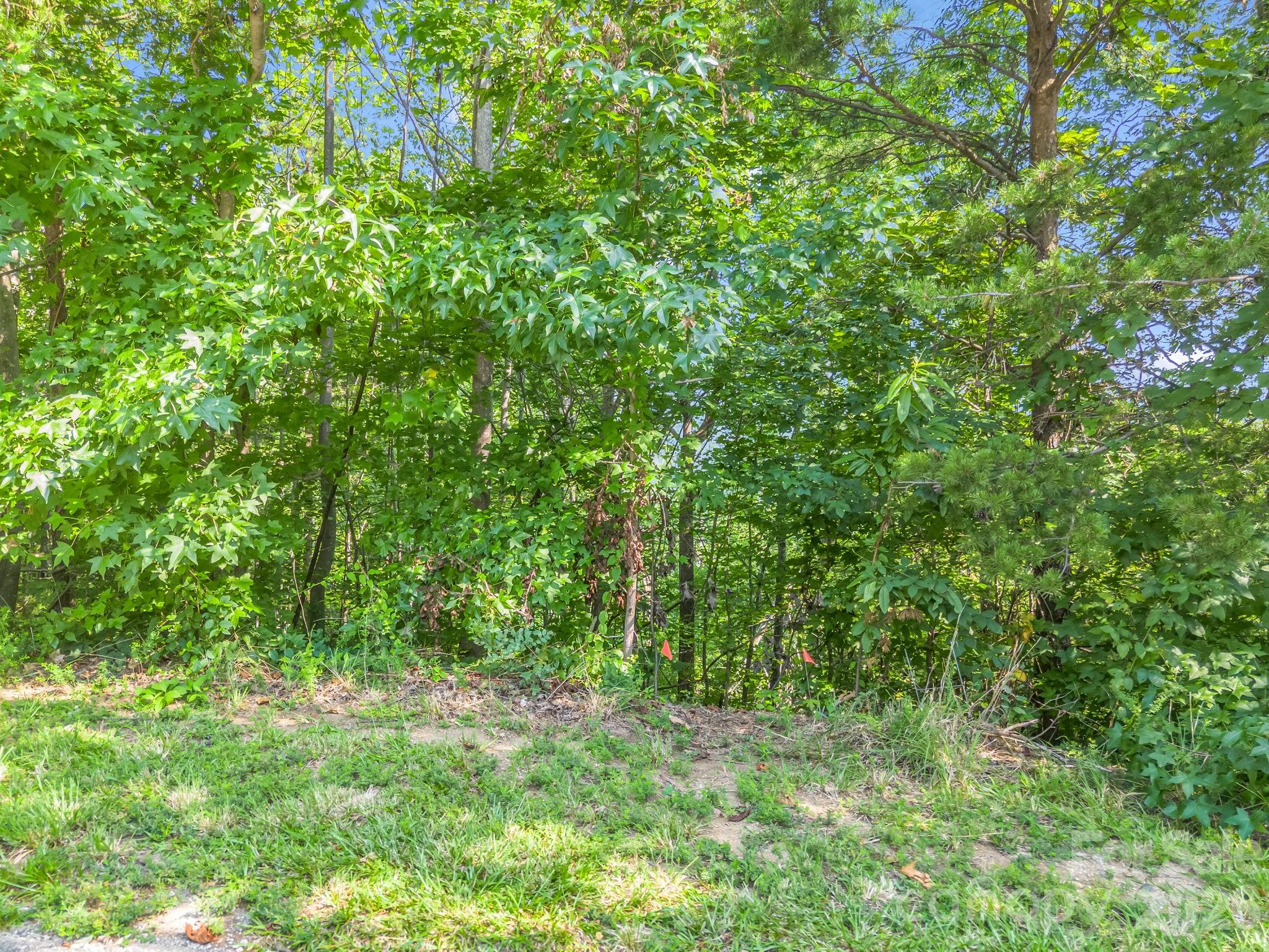 Lot at 00 Holland Drive, Columbus, photo 37 of 42