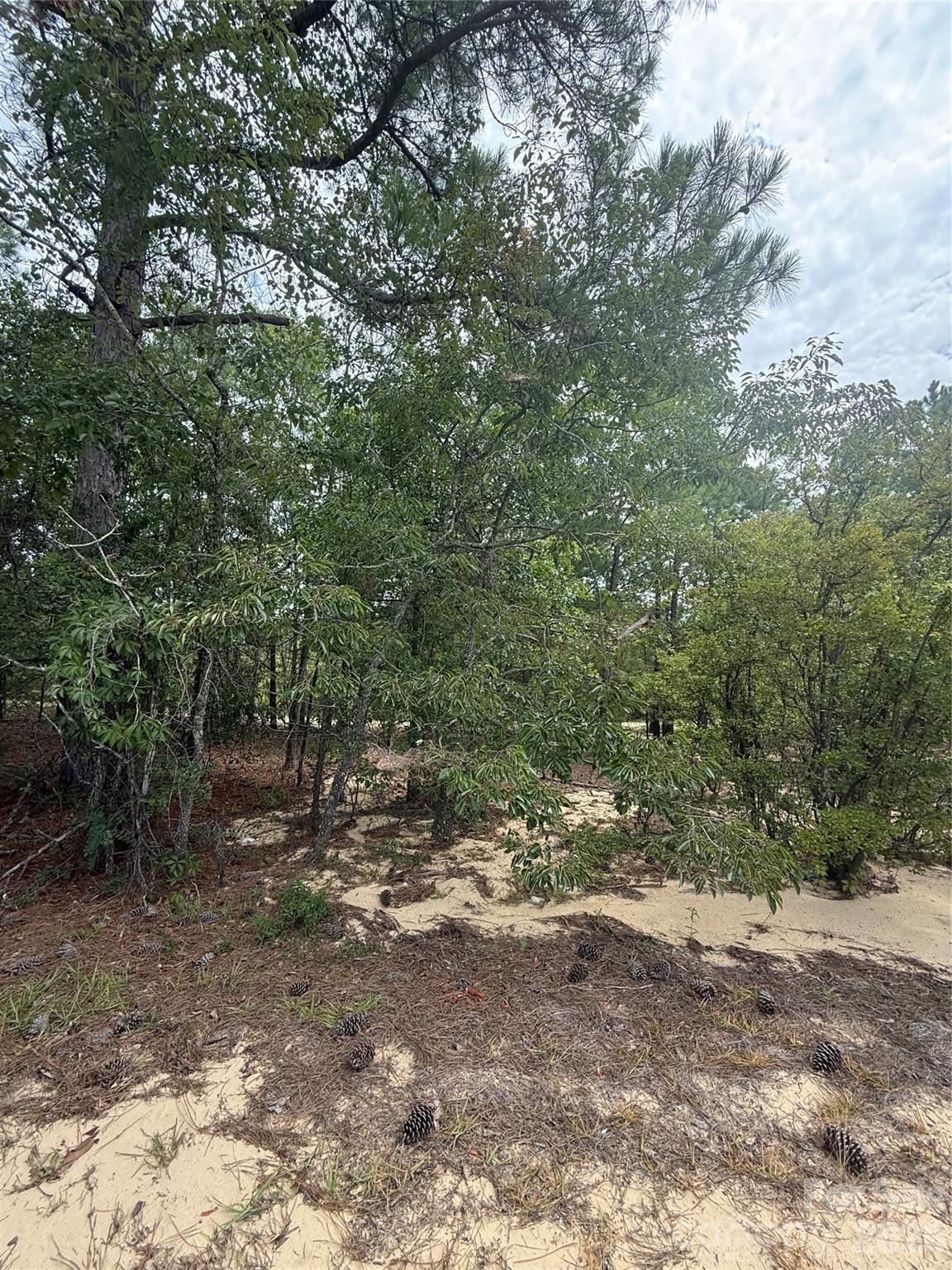 Acreage at TBD Sheridan Oliver Road, Ruby, photo 4 of 13