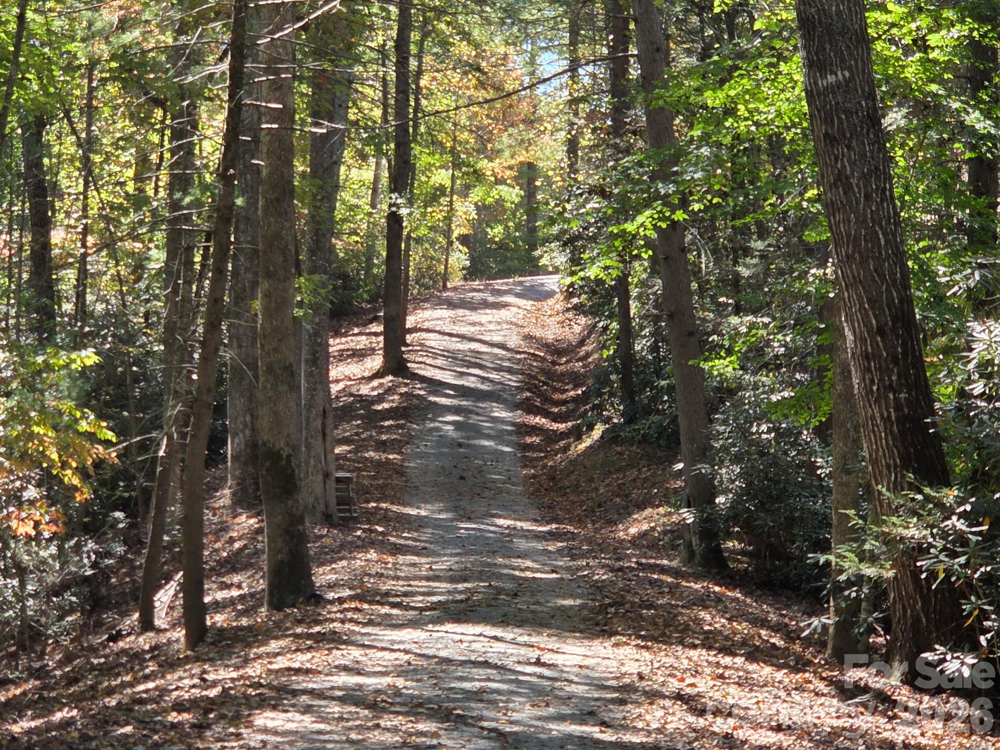private driveway - 295 Idlewood Drive, Marion