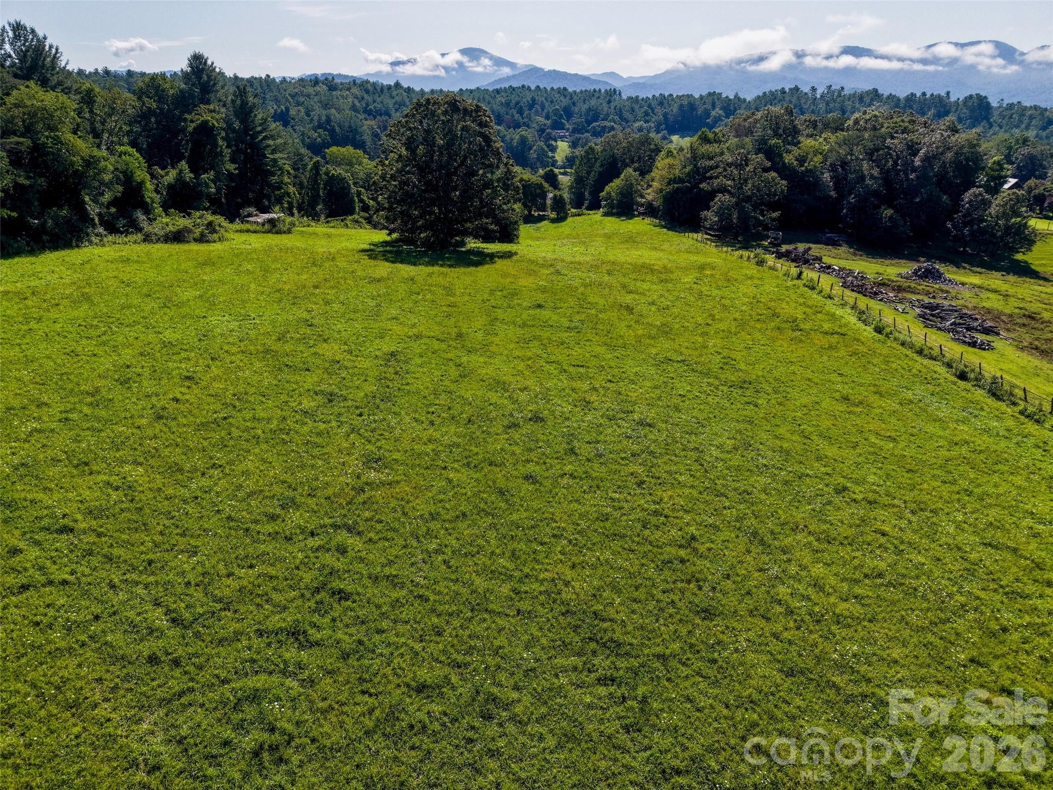 Acreage at 99999 Farm Hills Lane, Fletcher, photo 14 of 24