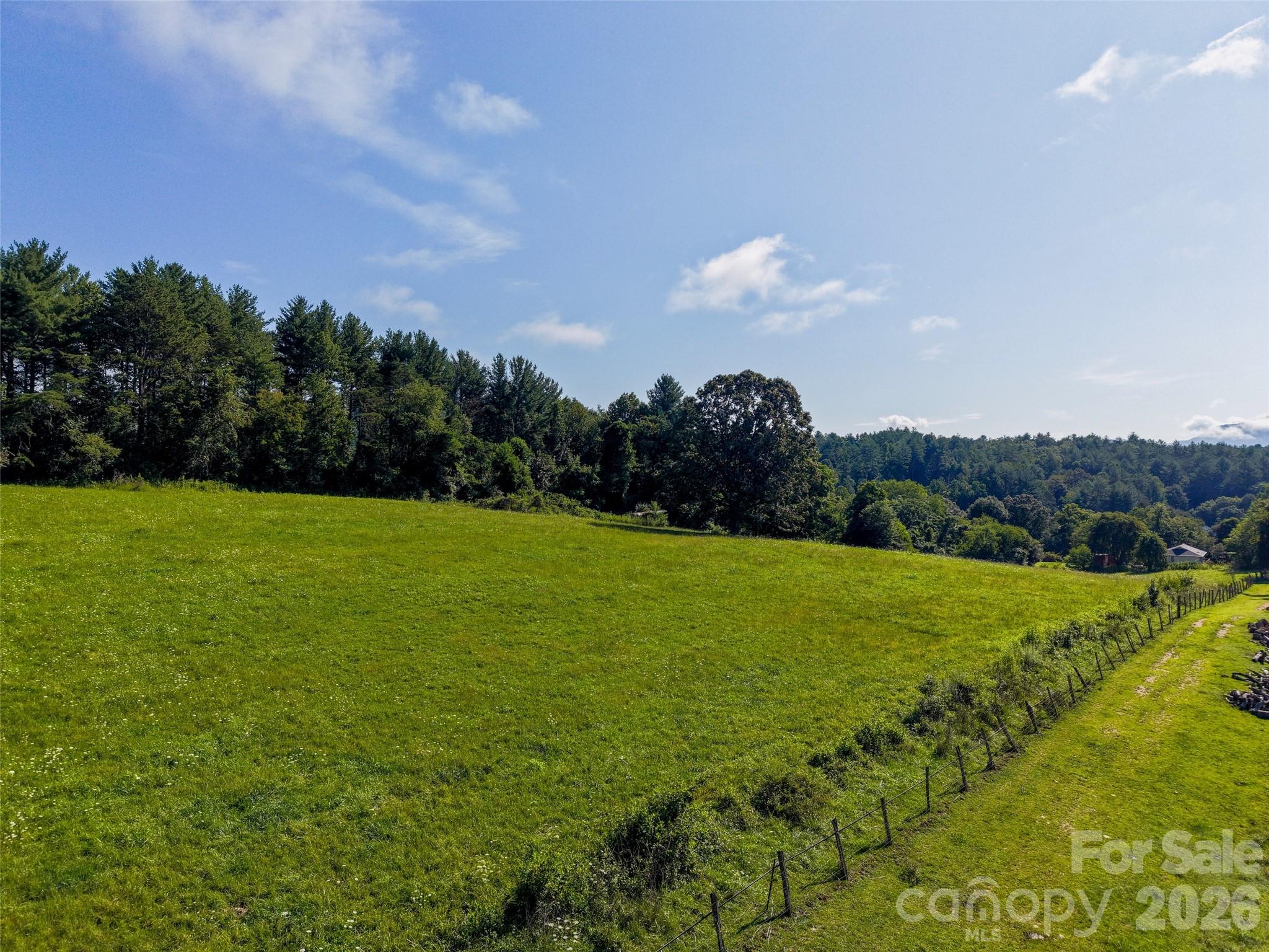 Acreage at 99999 Farm Hills Lane, Fletcher, photo 15 of 24