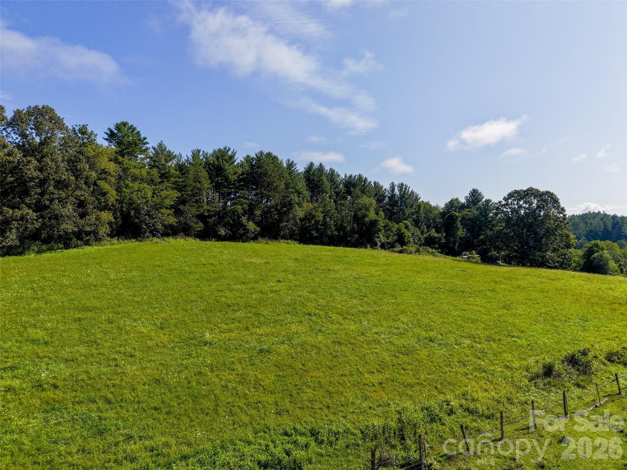 Acreage at 99999 Farm Hills Lane, Fletcher, photo 16 of 24