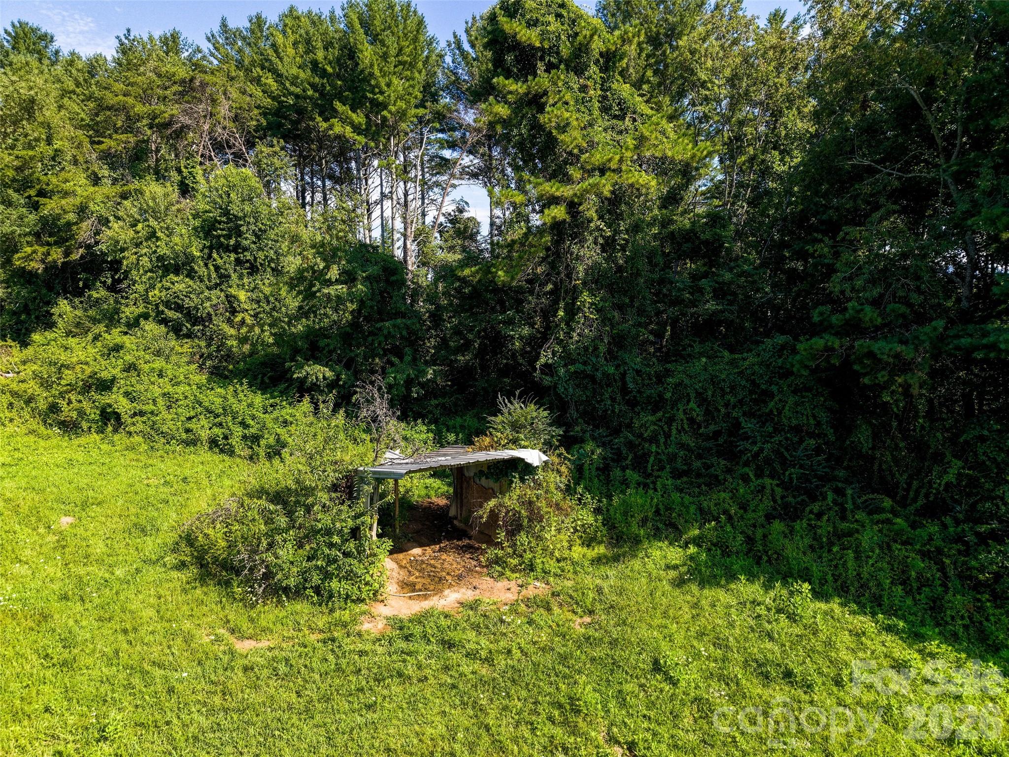 Acreage at 99999 Farm Hills Lane, Fletcher, photo 17 of 24