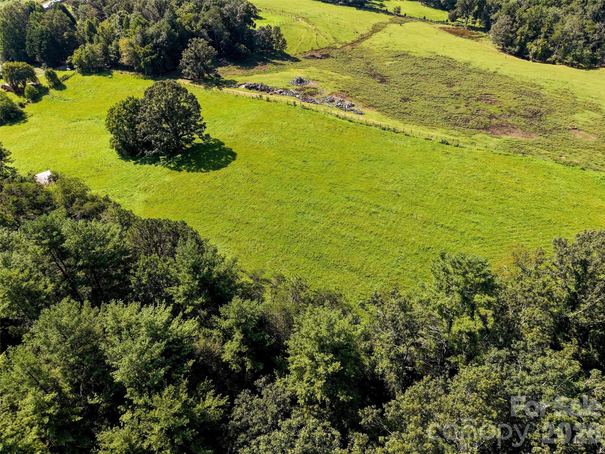 Acreage at 99999 Farm Hills Lane, Fletcher, photo 21 of 24