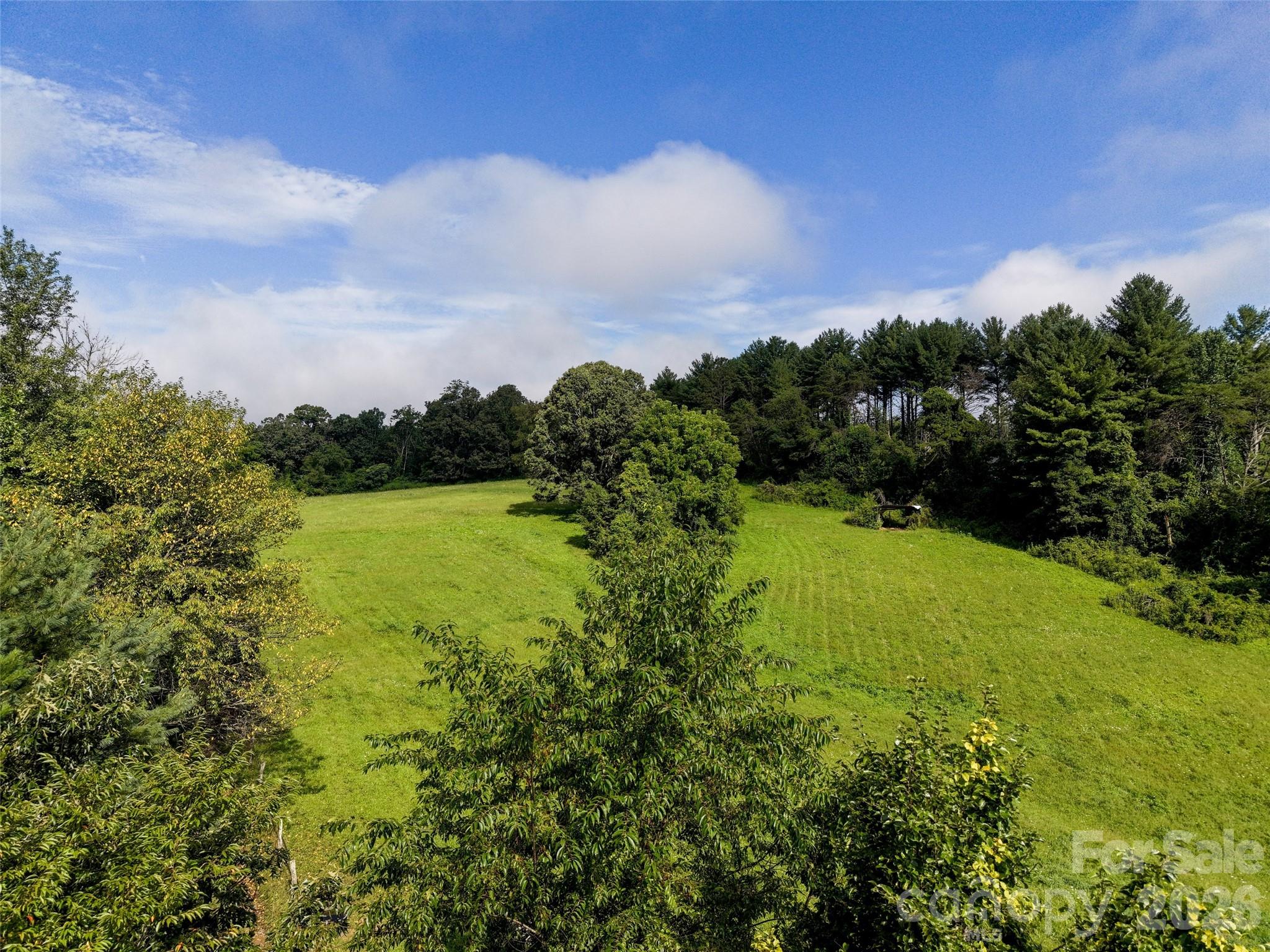 Acreage at 99999 Farm Hills Lane, Fletcher, photo 24 of 24