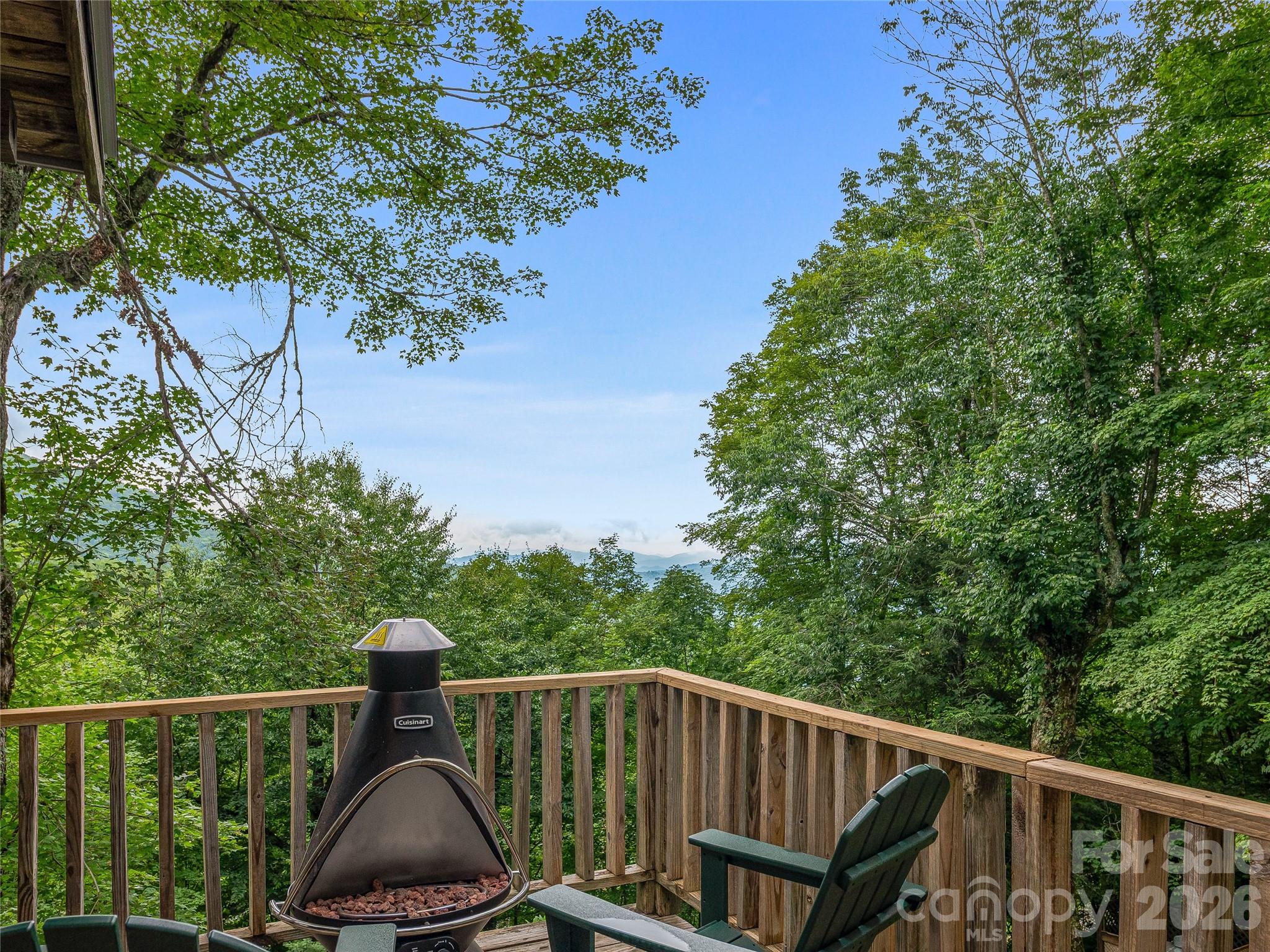 Single Family Residence at 267 Trillium Lane, Mars Hill, photo 34 of 44
