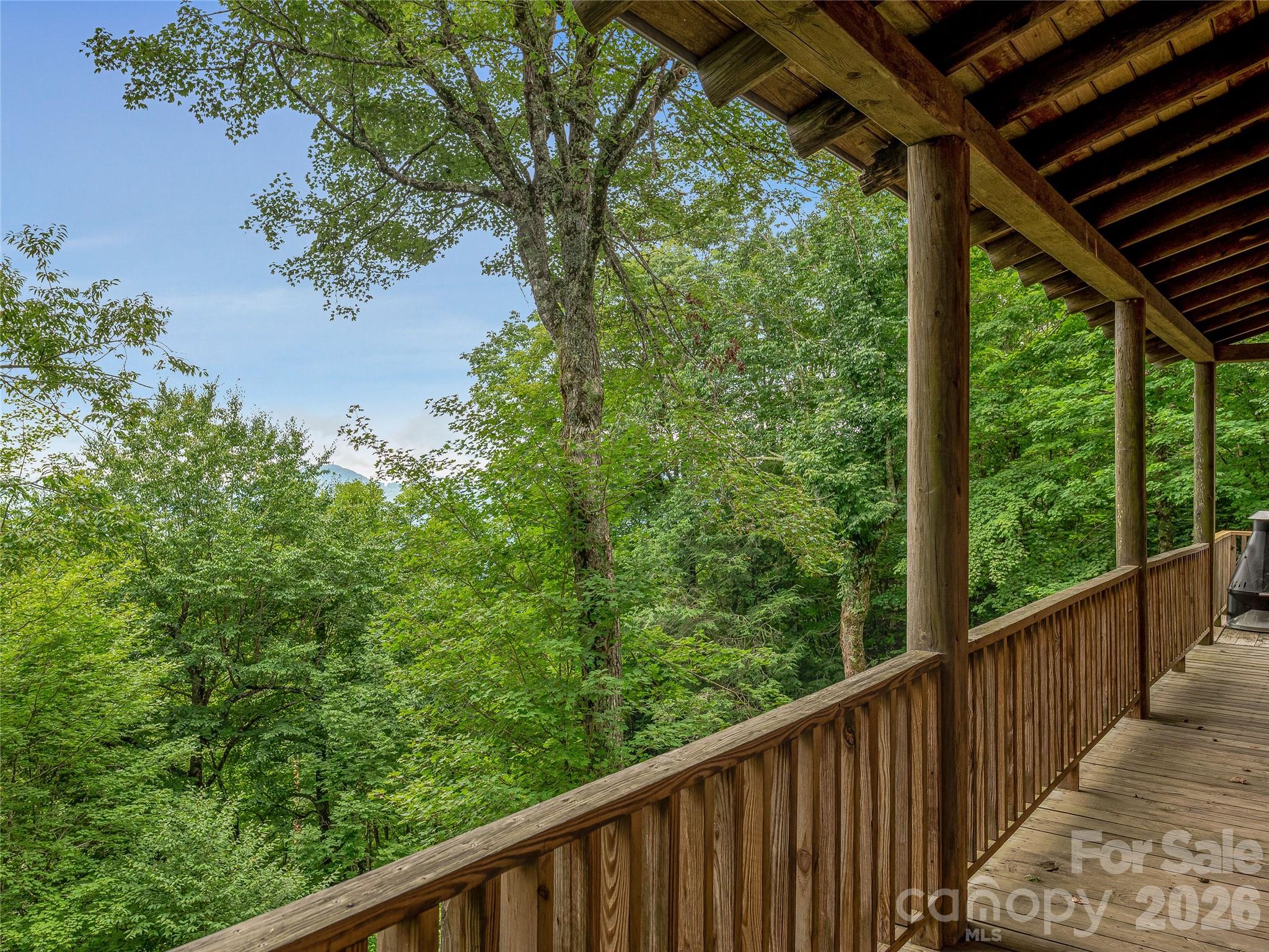 Single Family Residence at 267 Trillium Lane, Mars Hill, photo 35 of 44
