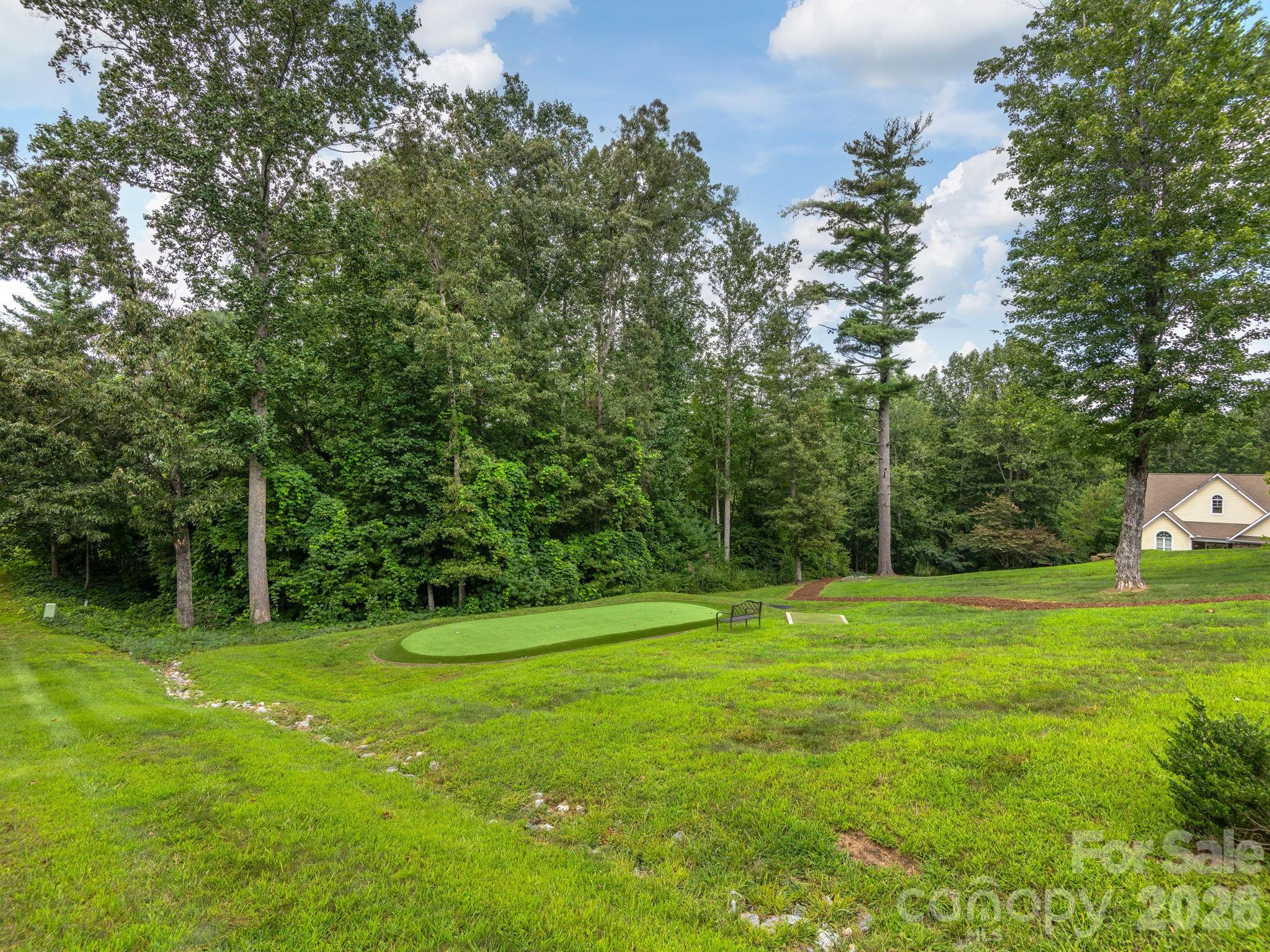 View of lower yard space with installed putting green and T-boxes. - 248 Wisdom Cove Road, Flat Rock