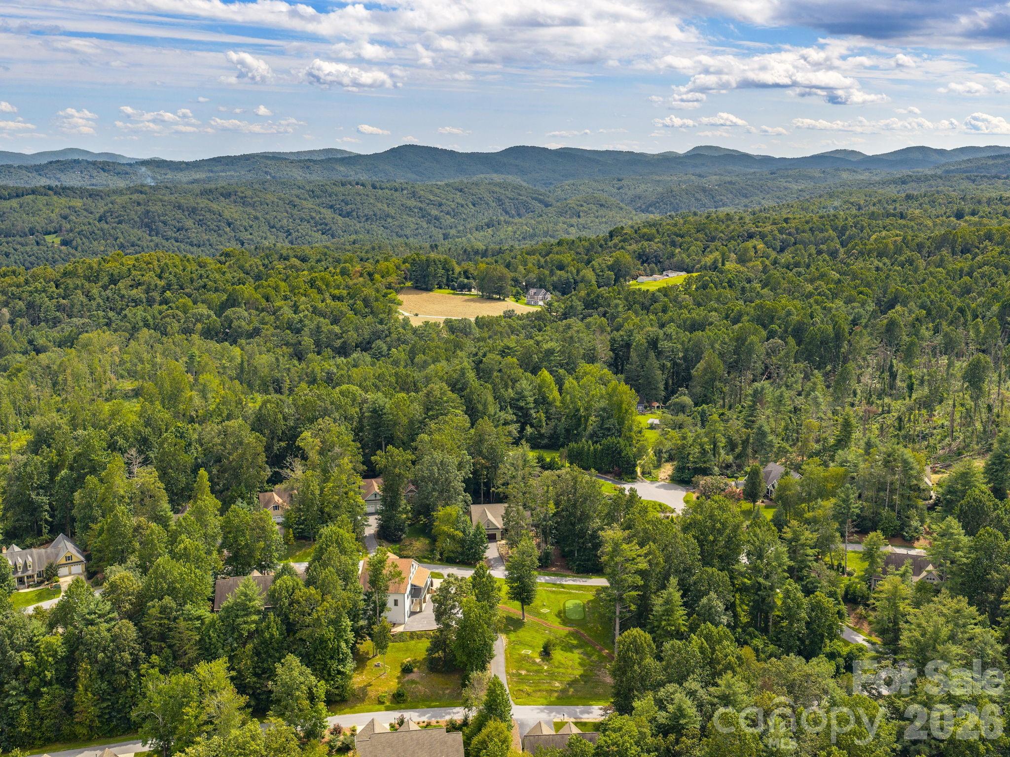 Surrounded by the majestic mountains of Flat Rock in Henderson County, NC - 248 Wisdom Cove Road, Flat Rock