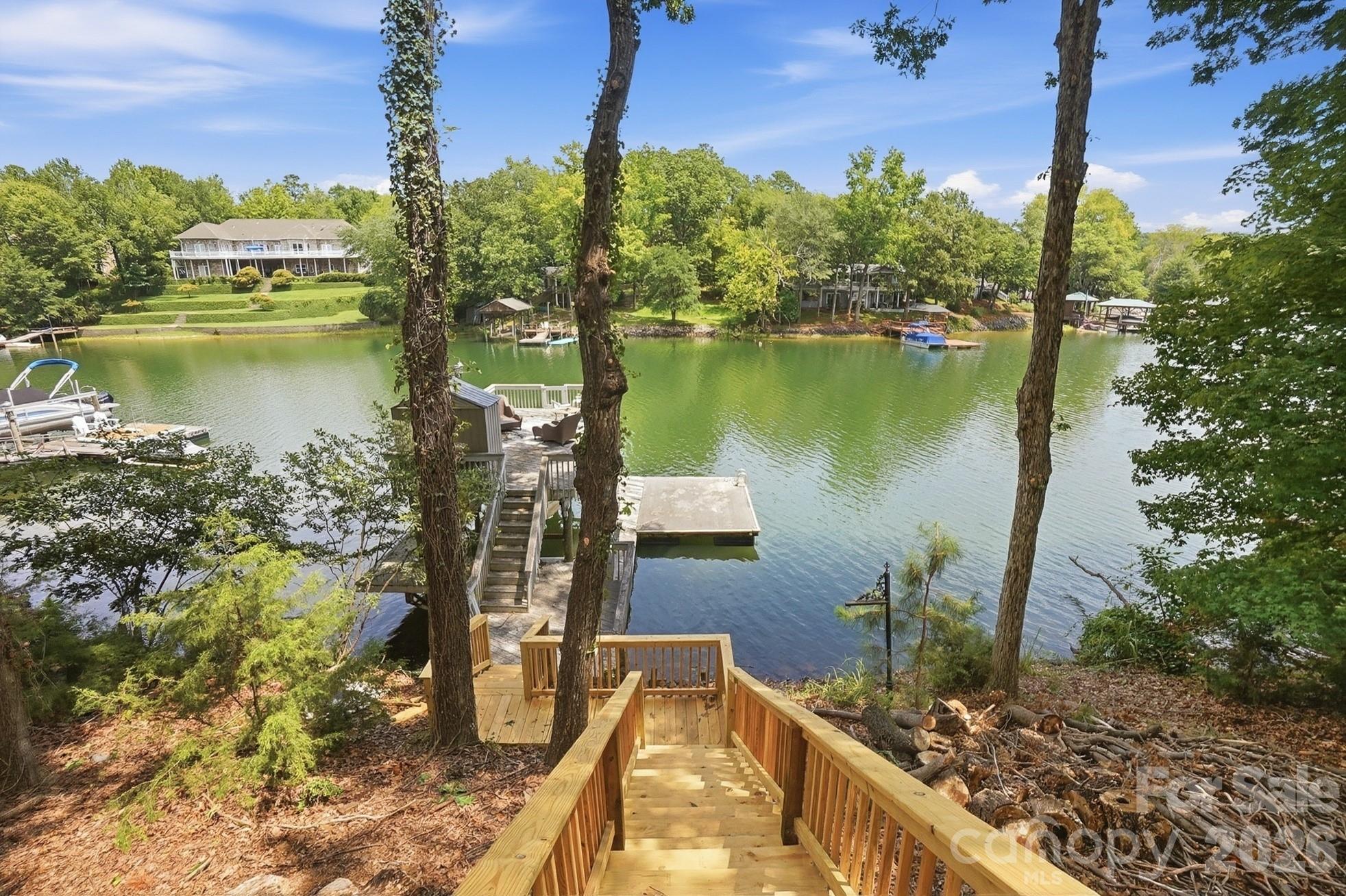 Single Family Residence at 16121 Tana Tea Circle, Tega Cay, photo 2 of 47