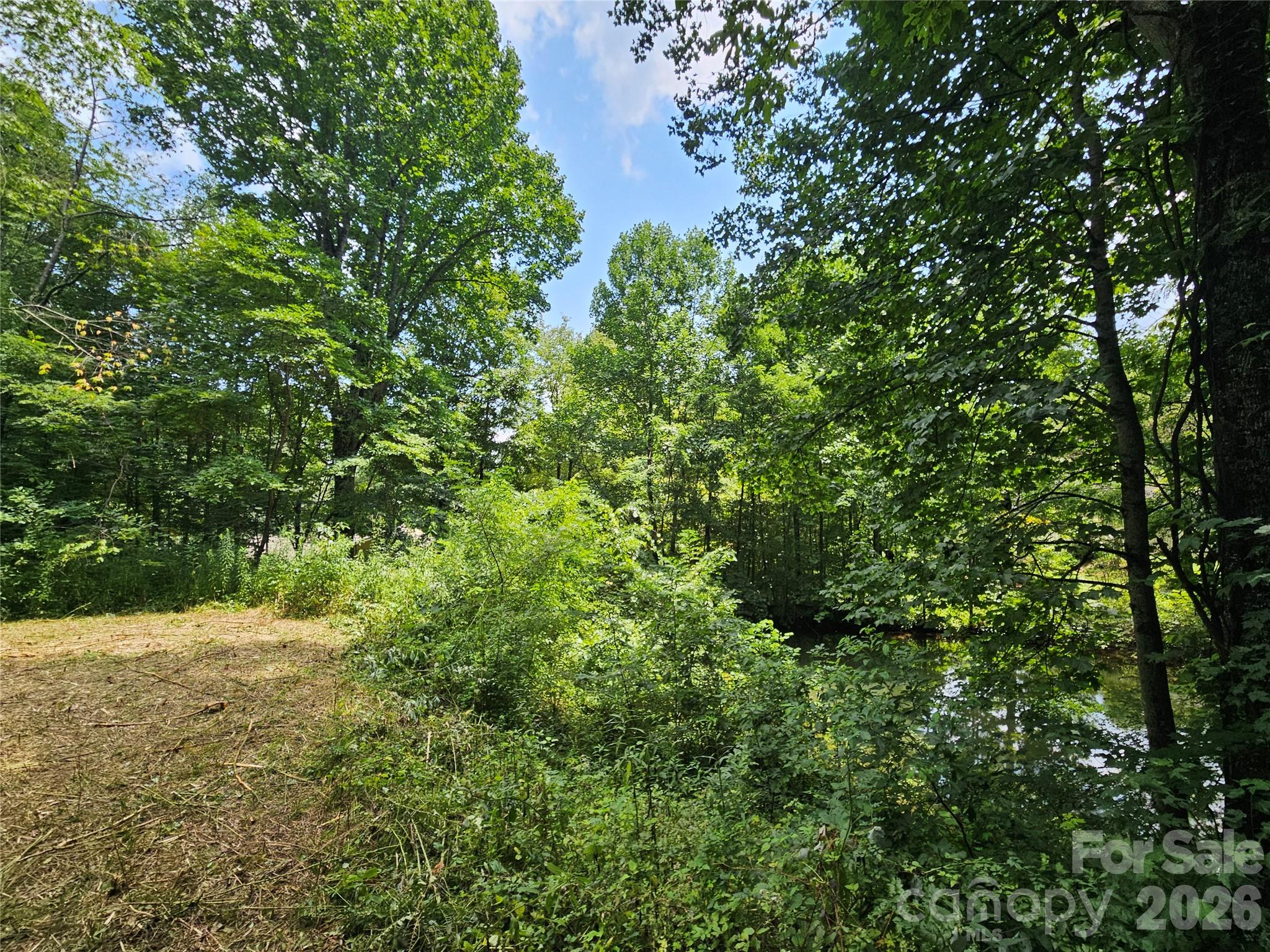 View of pond at bottom of lower housepad - 638 Crystal Tree Drive, Waynesville