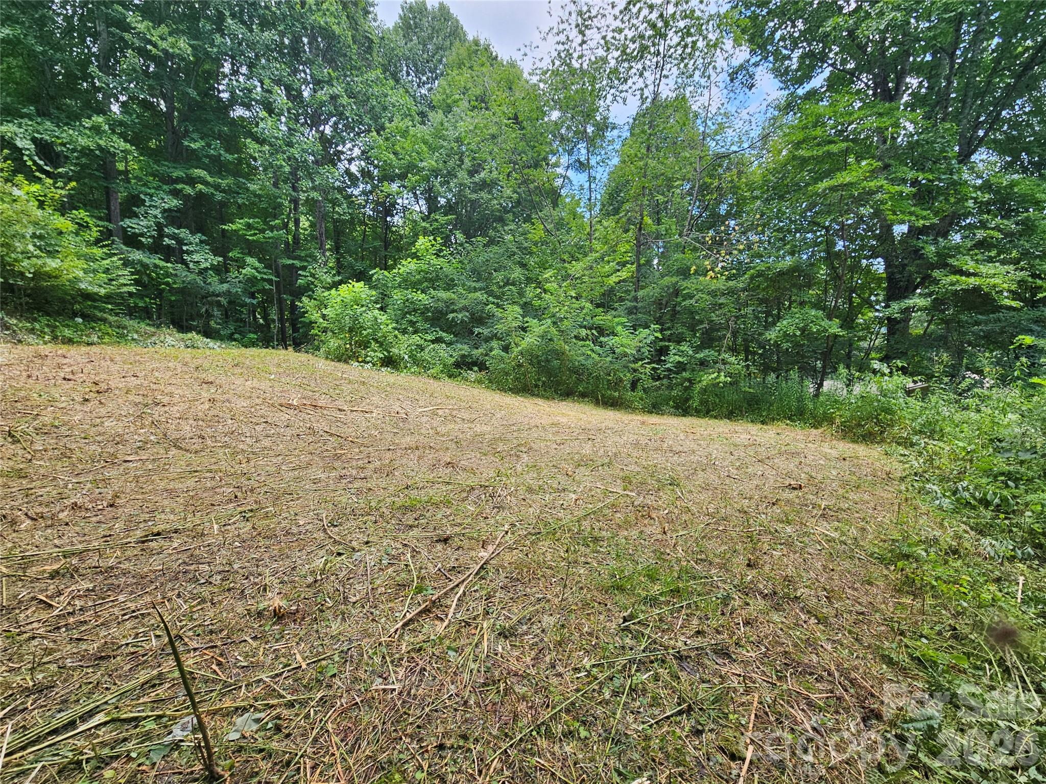 Below house pad, would be back yard before pond - 638 Crystal Tree Drive, Waynesville
