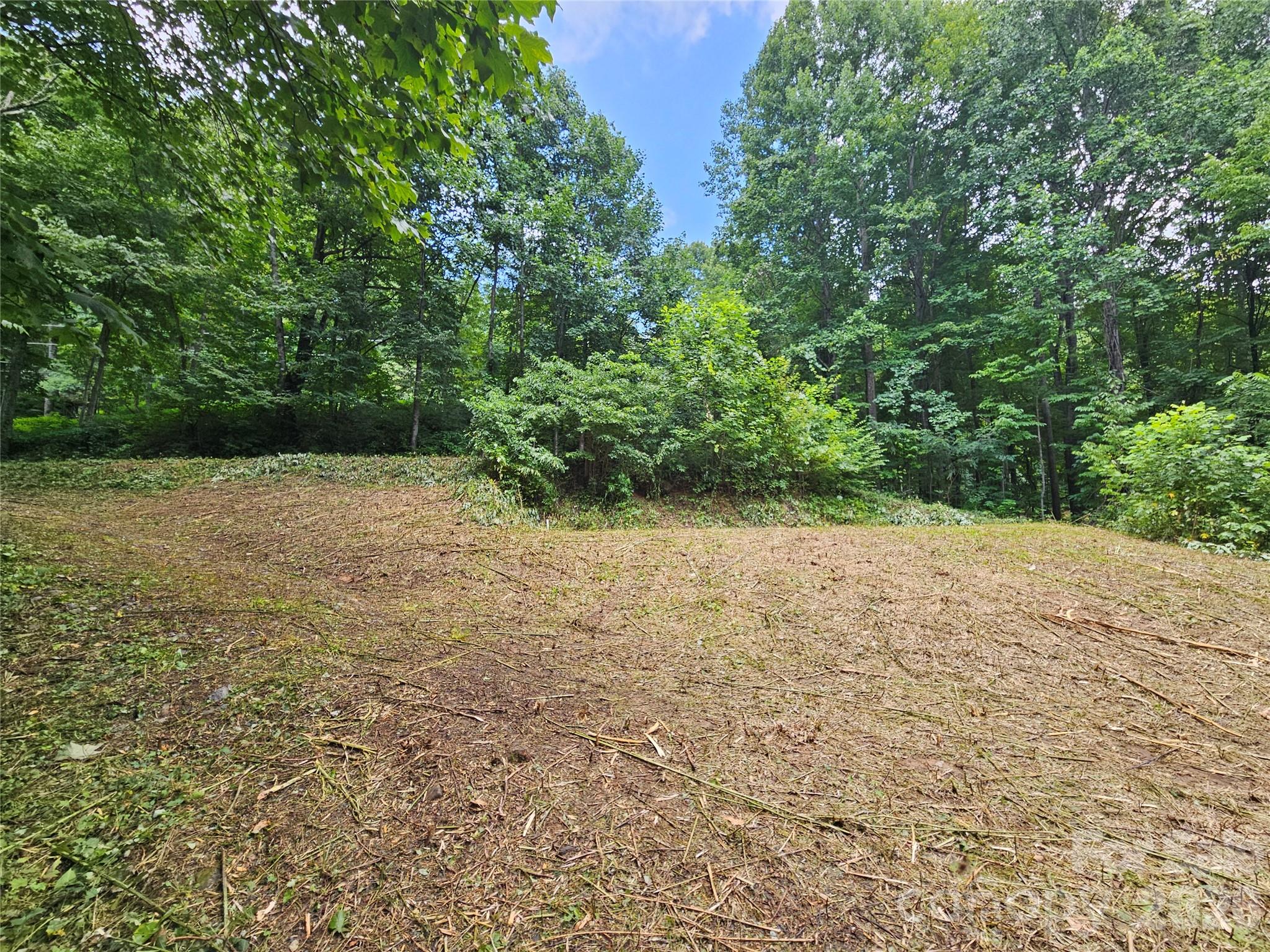 Upper drive behind bushes/trees, house pad just in front of those - 638 Crystal Tree Drive, Waynesville