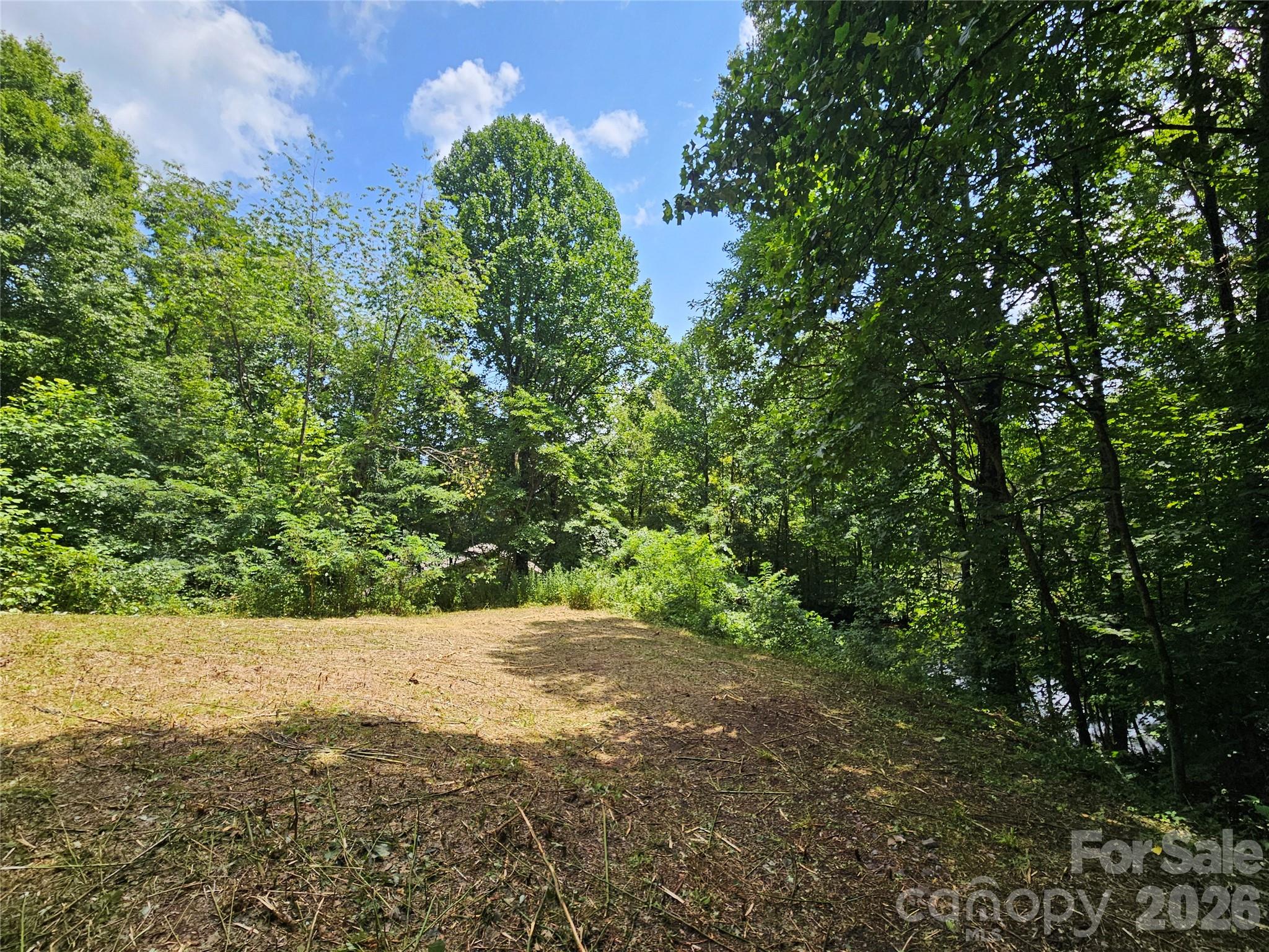 Backyard/Pond - 638 Crystal Tree Drive, Waynesville