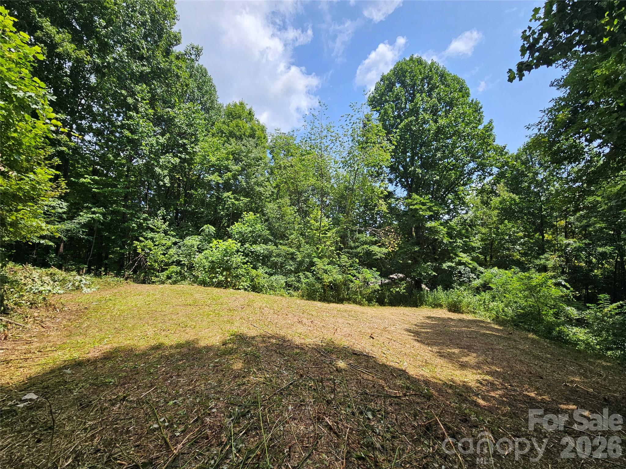 Housepad and Backyard - 638 Crystal Tree Drive, Waynesville