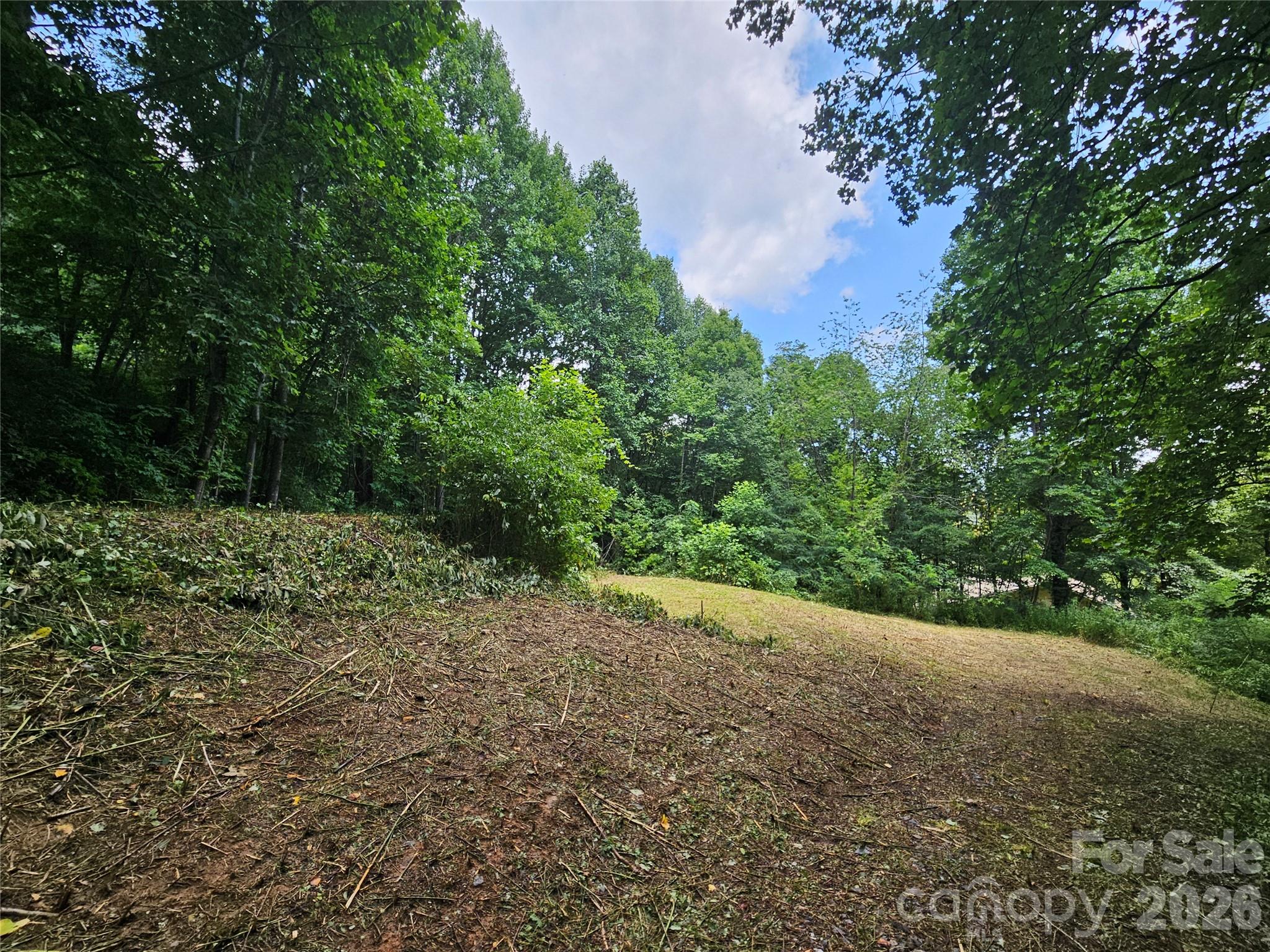 Tiered driveway, allowing for basement garage as well as drive up access to main level - 638 Crystal Tree Drive, Waynesville