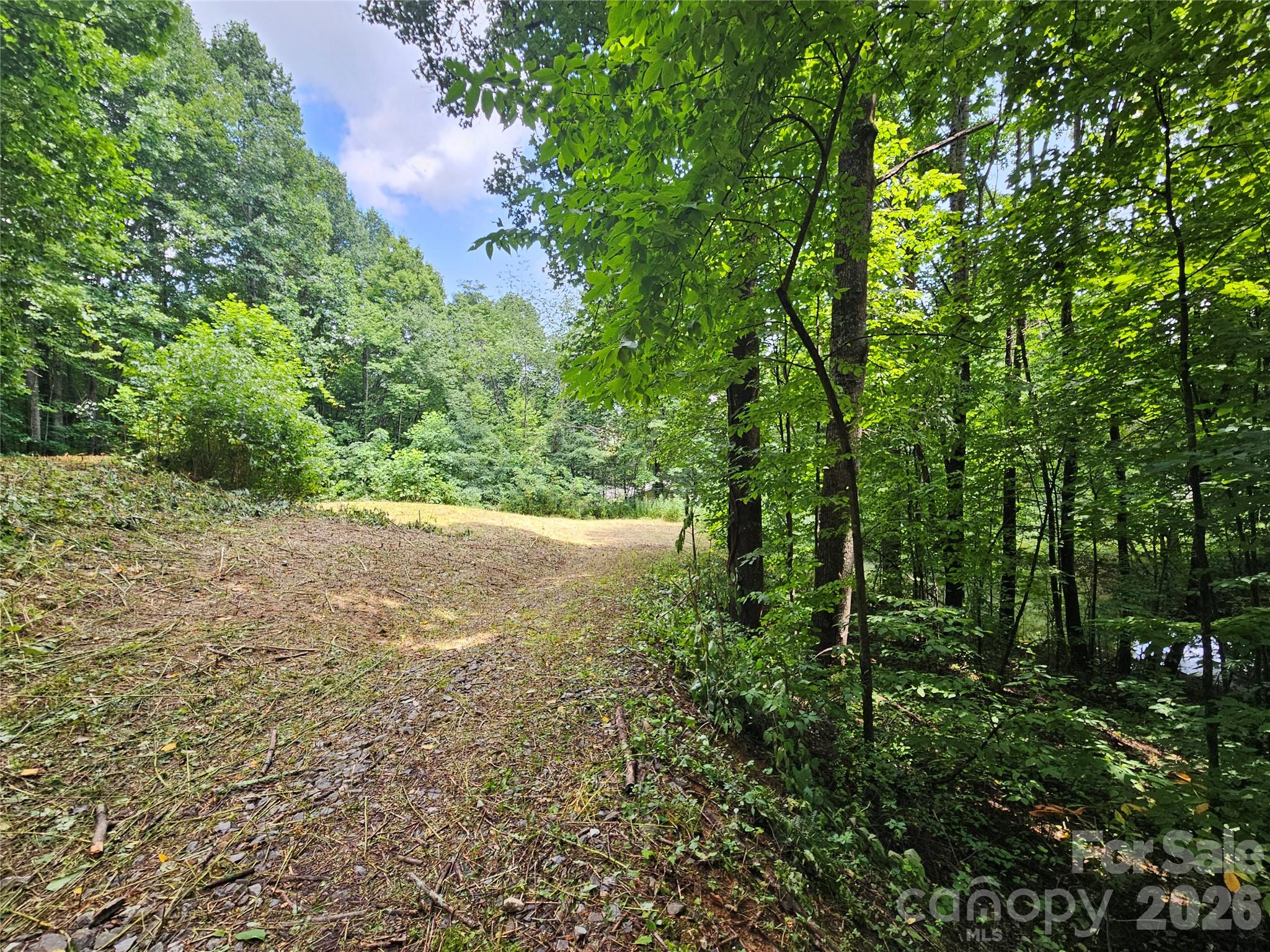 Wooded area to - 638 Crystal Tree Drive, Waynesville