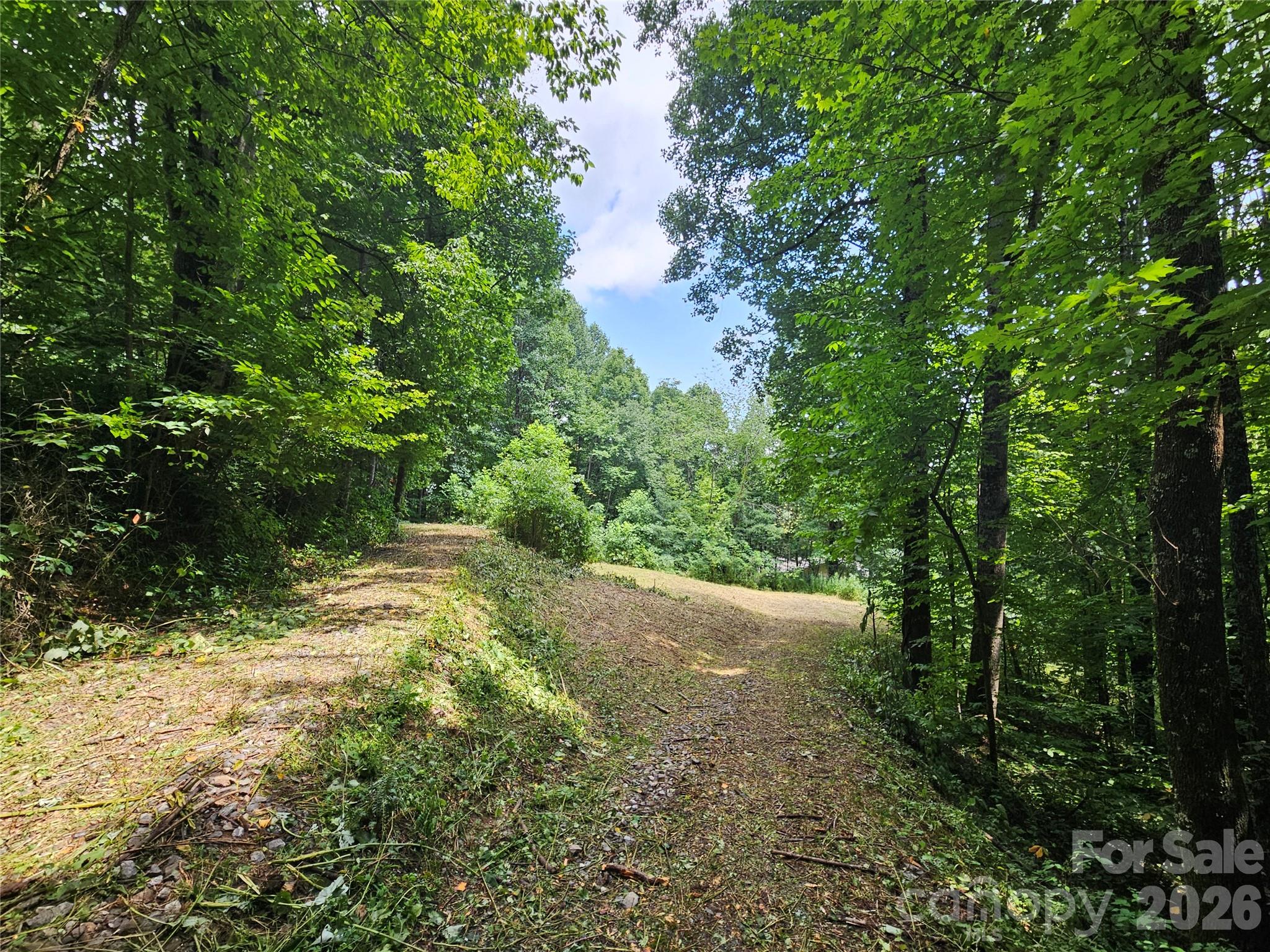 Lot at 638 Crystal Tree Drive, Waynesville, photo 9 of 13