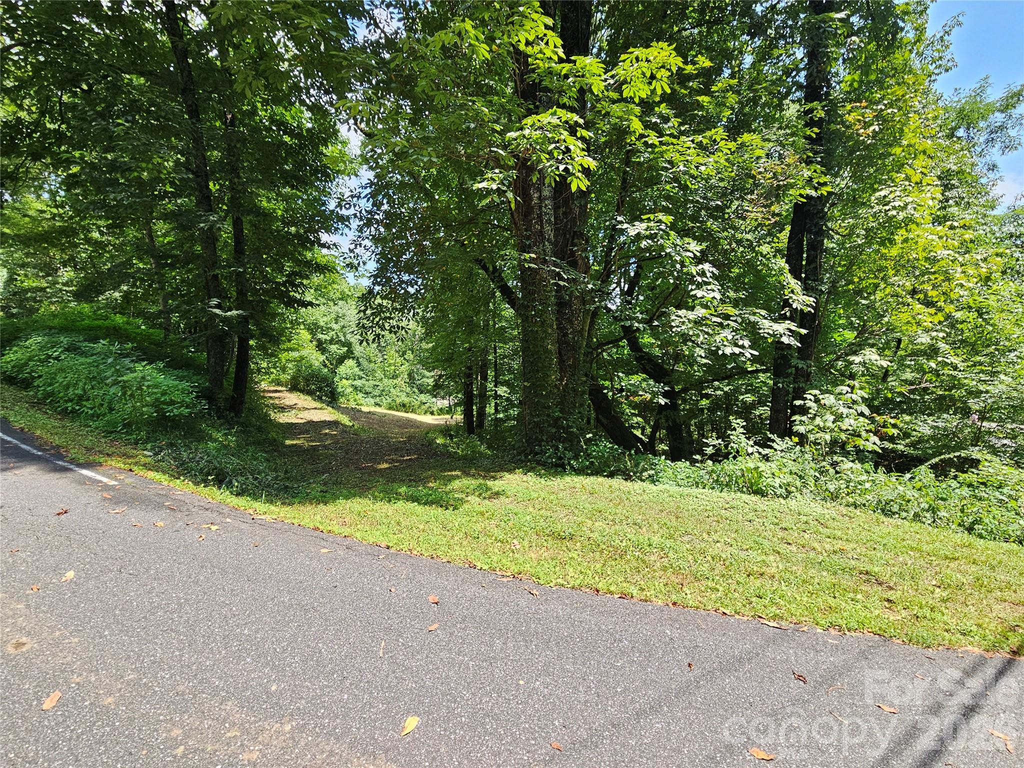 Lot at 638 Crystal Tree Drive, Waynesville, photo 11 of 13