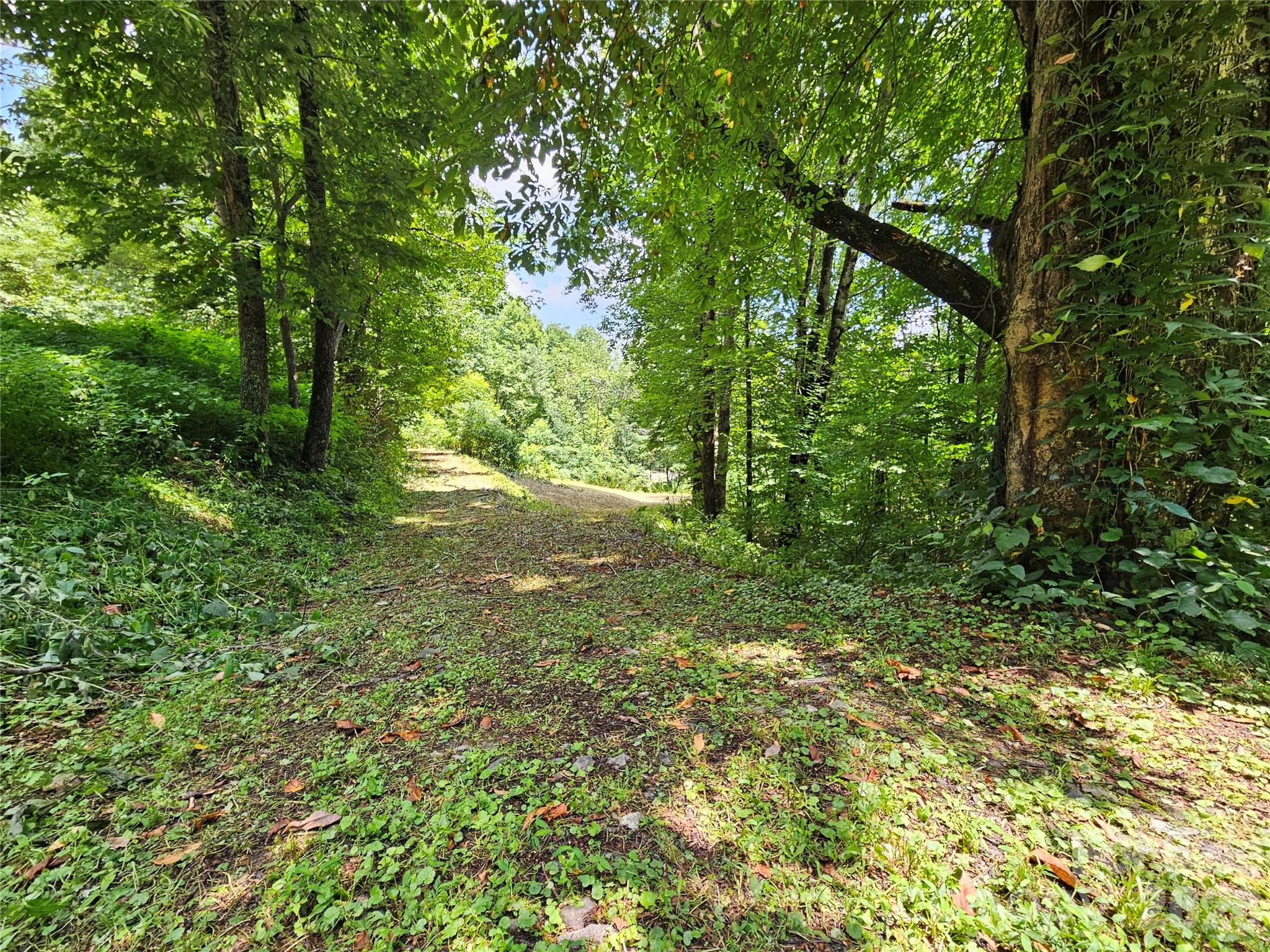 Lot at 638 Crystal Tree Drive, Waynesville, photo 12 of 13