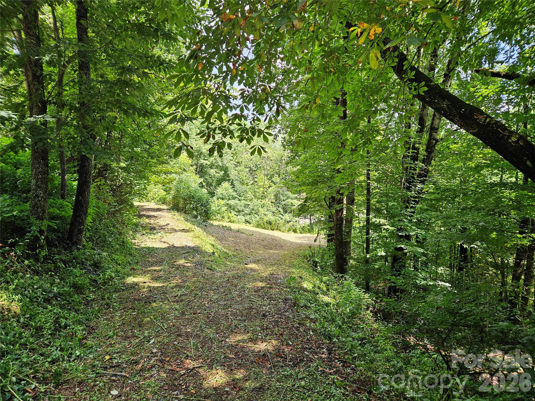 Lot at 638 Crystal Tree Drive, Waynesville, photo 13 of 13
