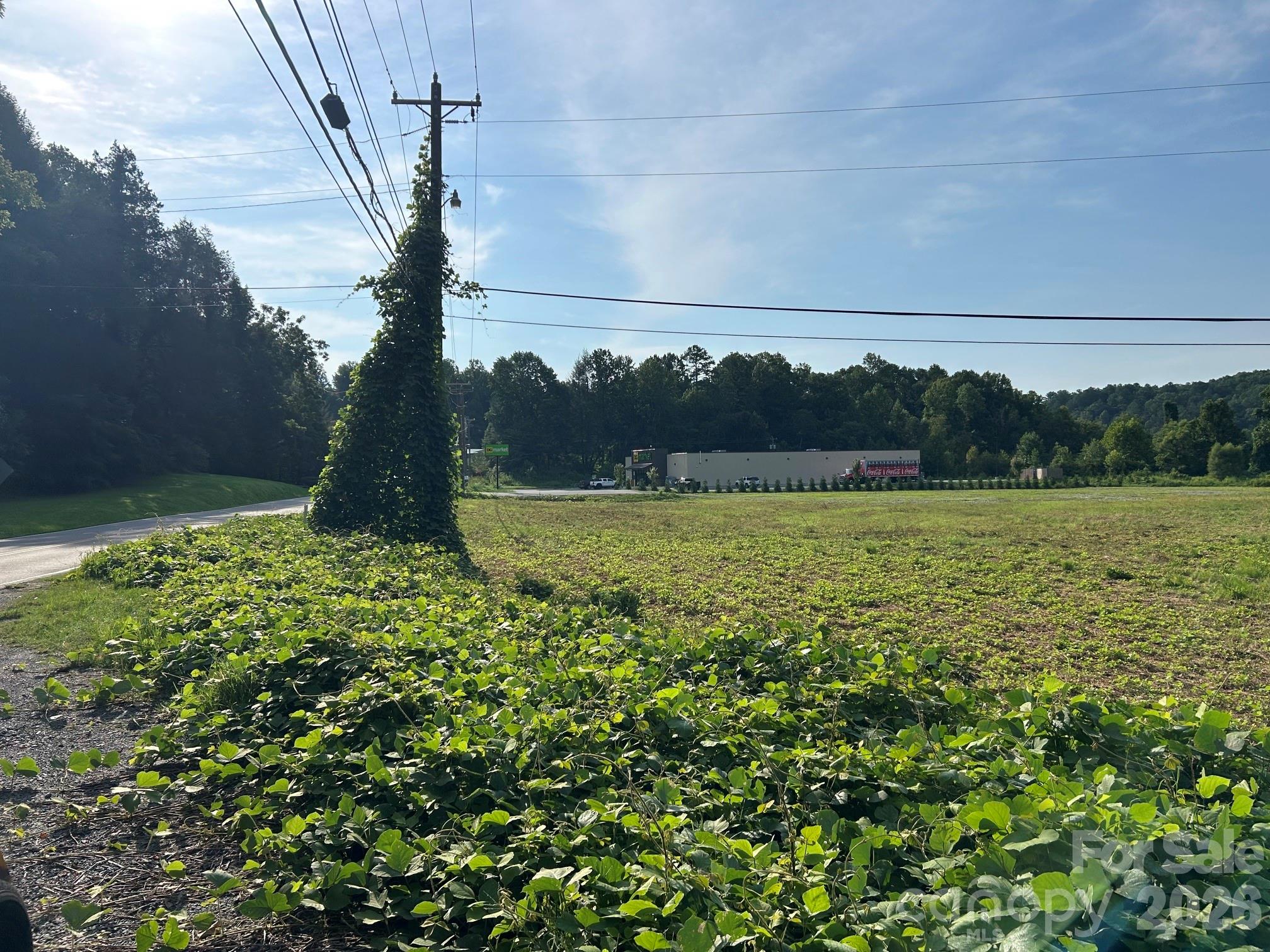 Unimproved Commercial at 4450 US 70 Highway E, Marion, photo 13 of 32