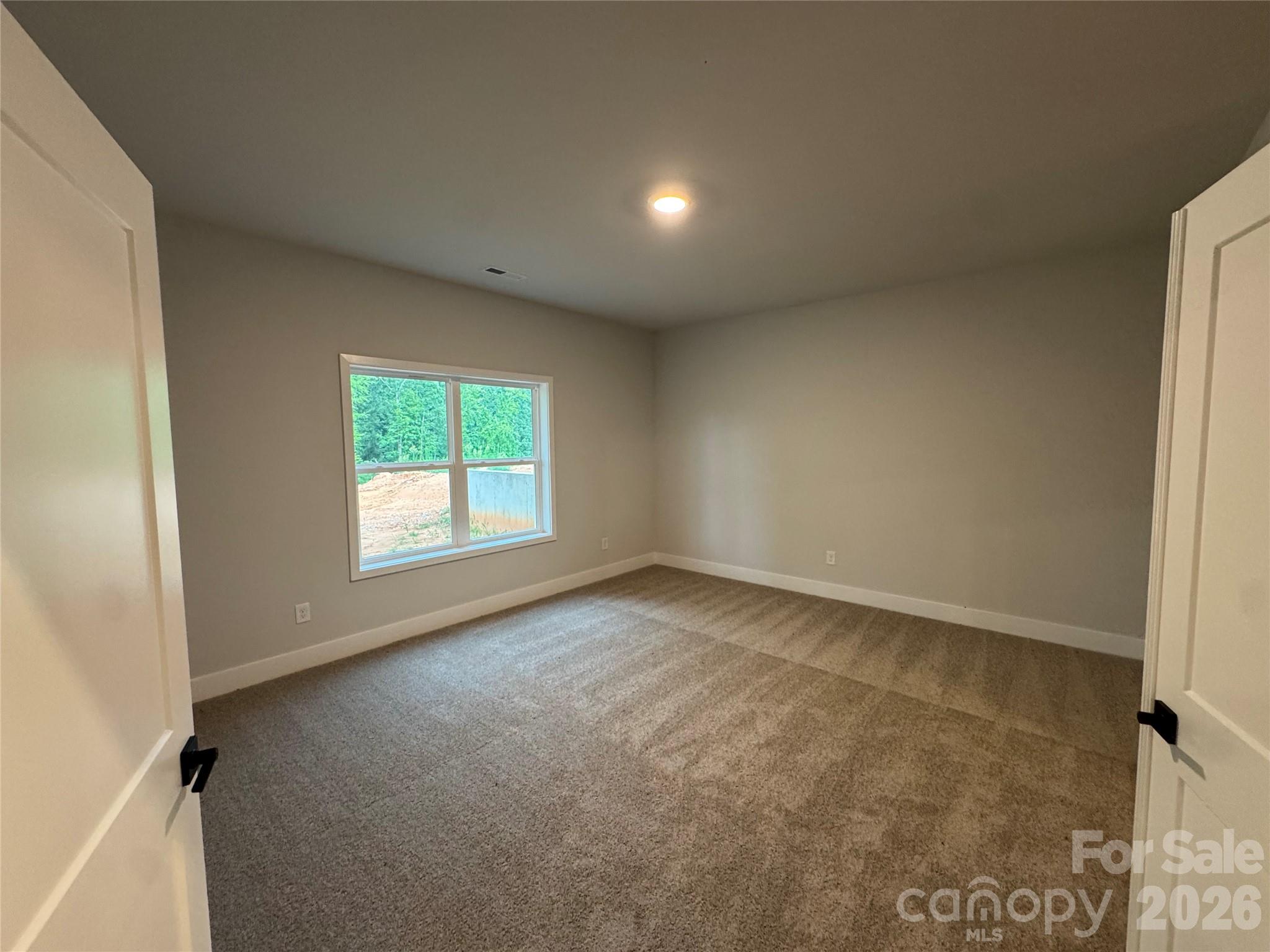 Basement Flex Space with Closet and full bathroom - 133 Kerr Walk Drive, Statesville