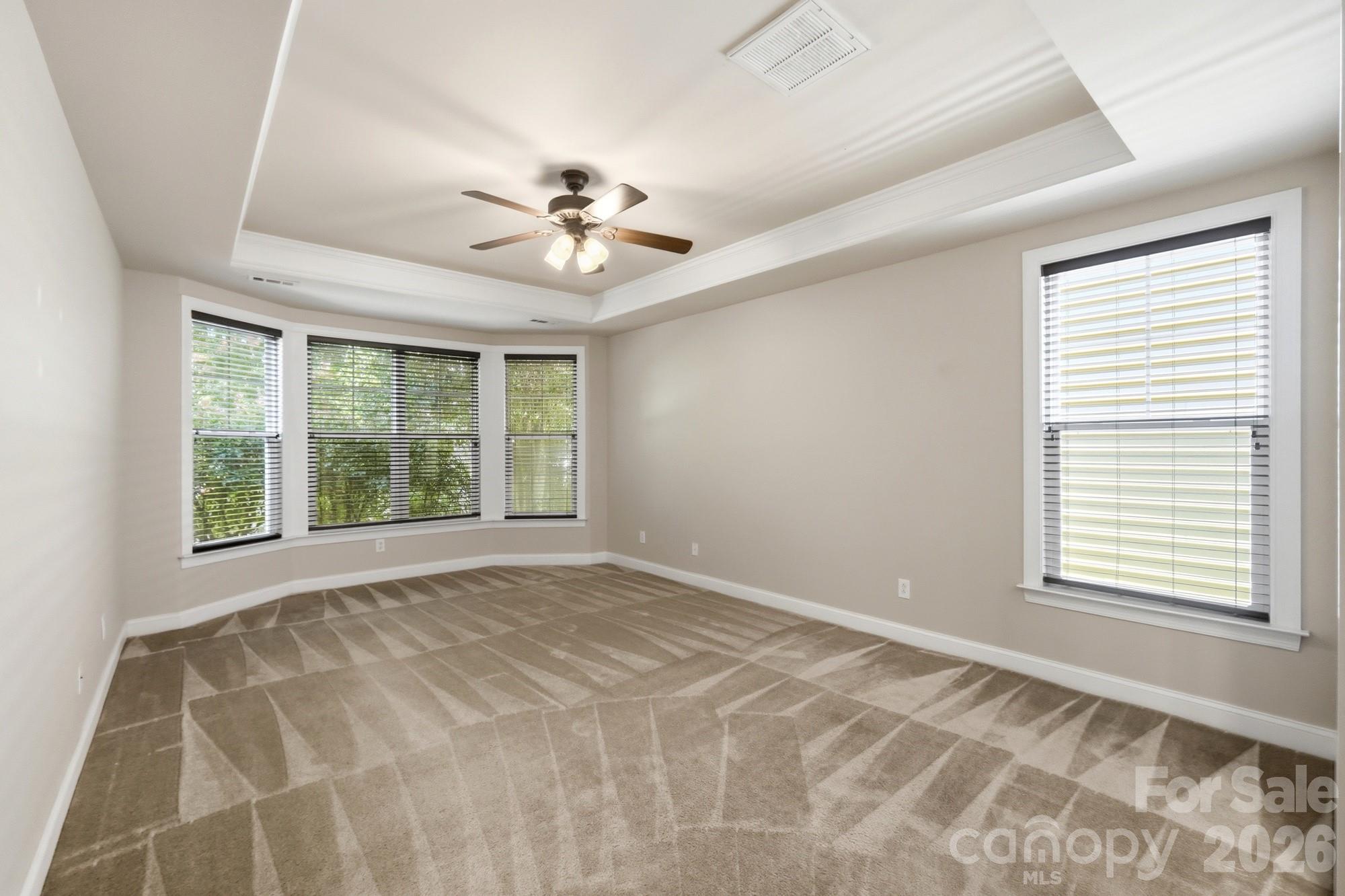 Trey celing - 3016 Connells Point Avenue, Waxhaw