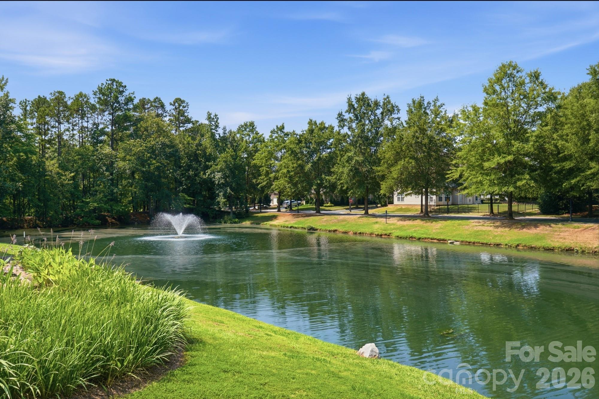 Community pond - 3016 Connells Point Avenue, Waxhaw