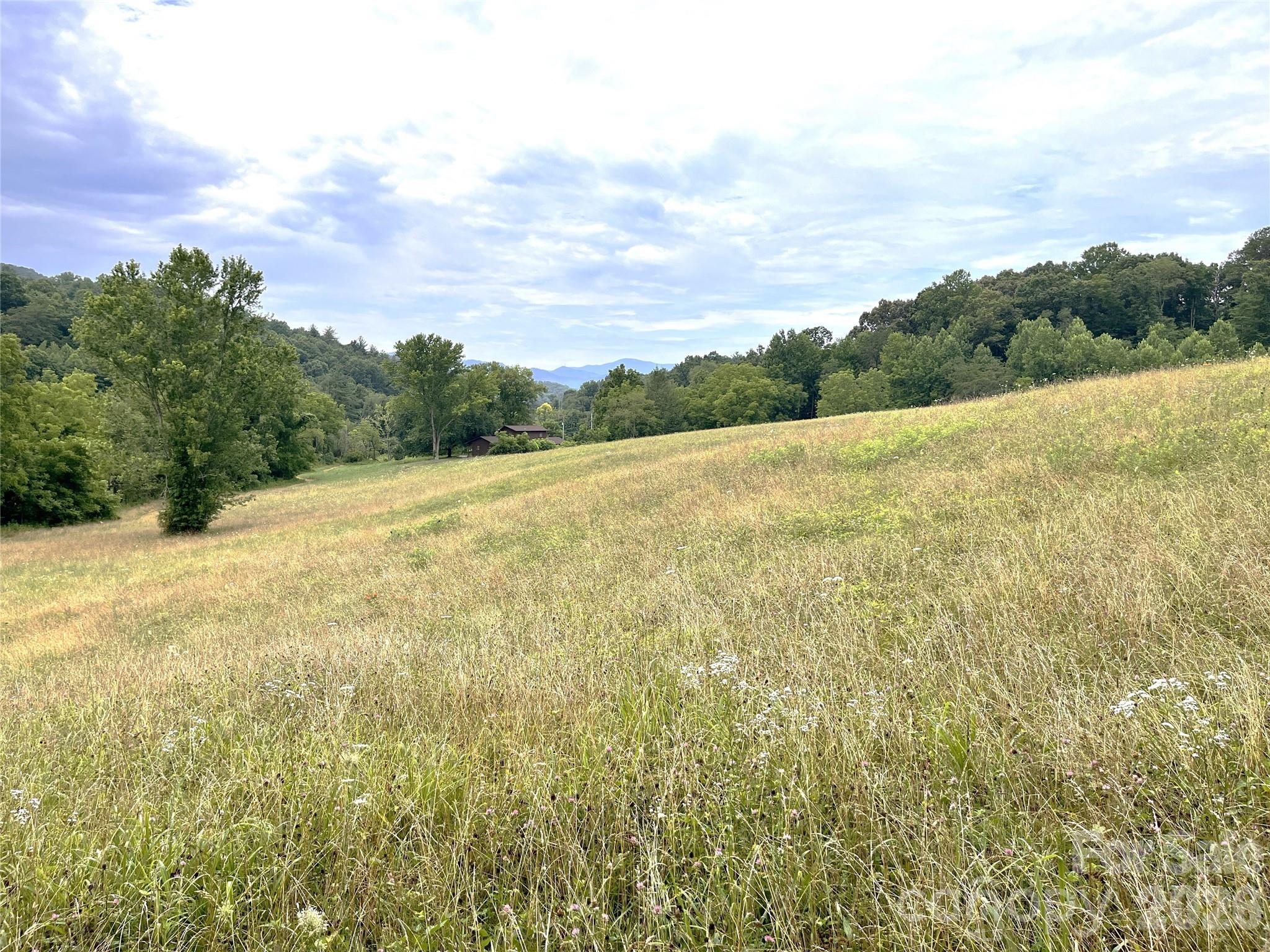 Approximately 12 acres of pasture - 132 Hurd Road, Canton