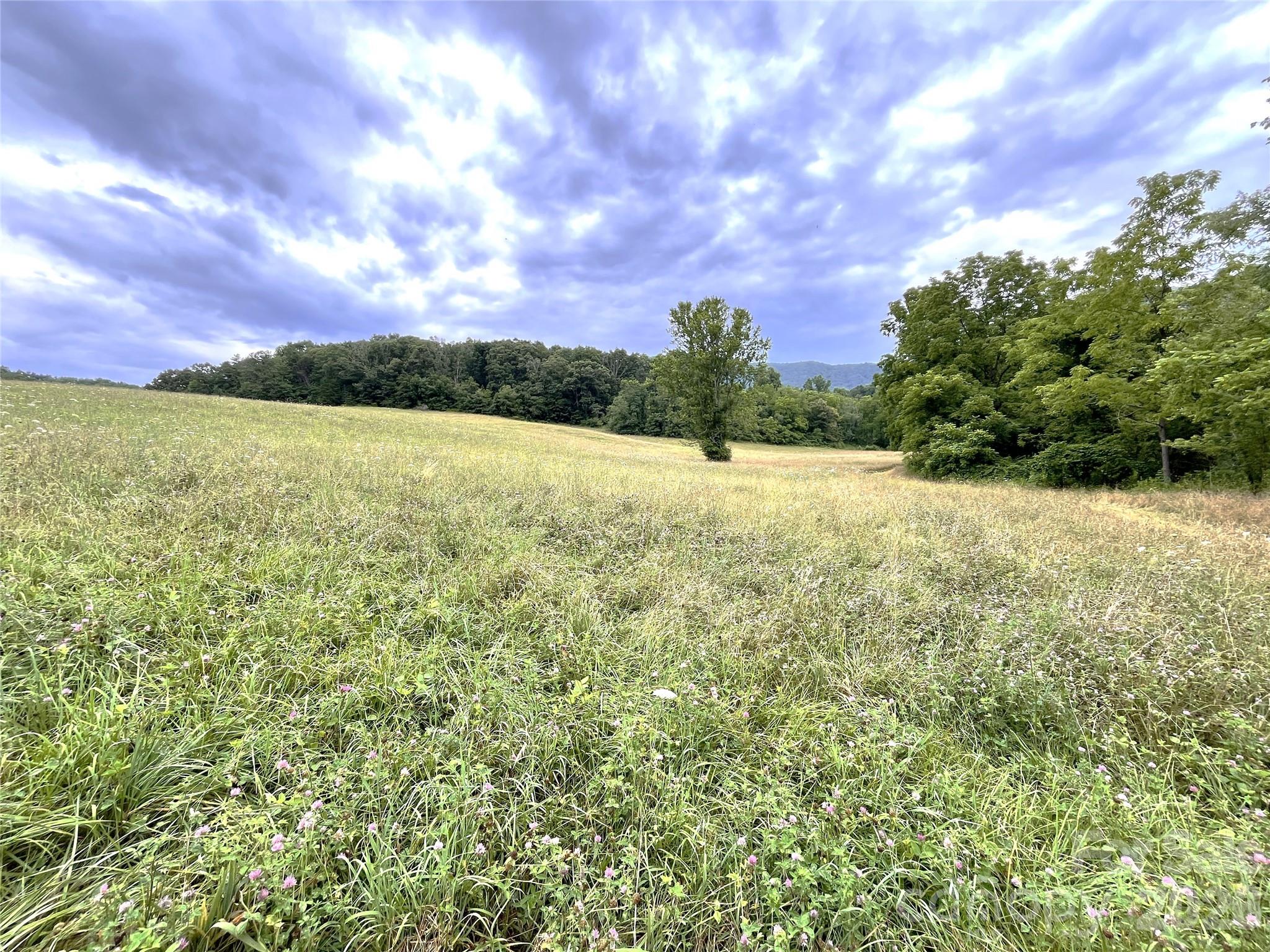 Approximately 12 acres of pasture - 132 Hurd Road, Canton
