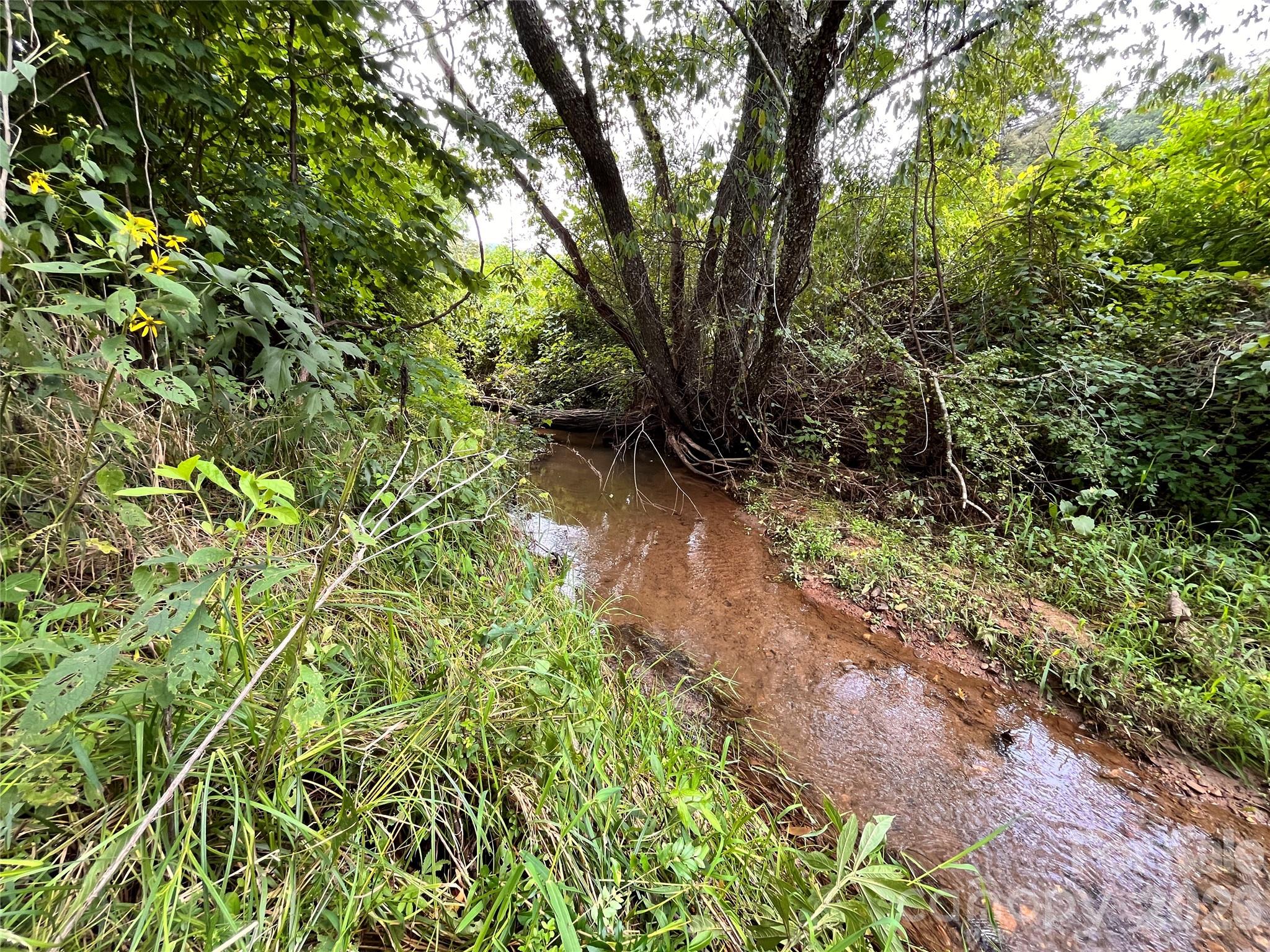 One of two creeks - 132 Hurd Road, Canton