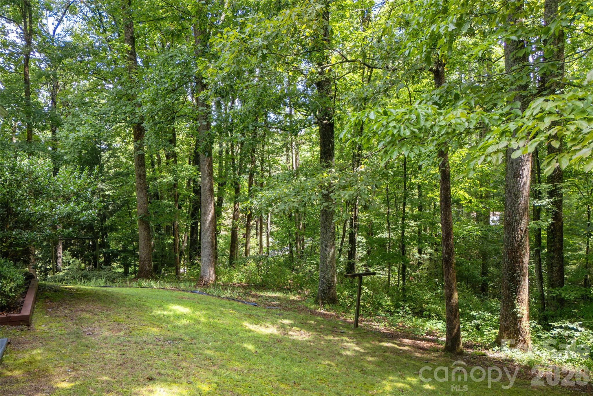 Backyard - 1043 Berea Church Road, Hendersonville