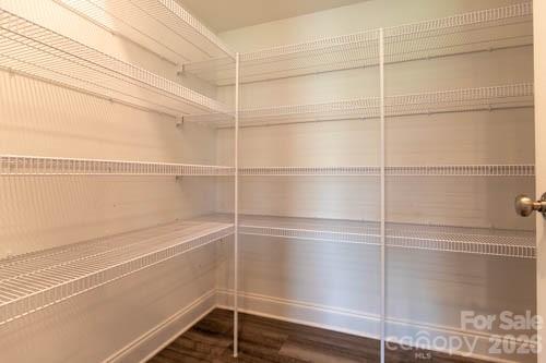 Walk-in Pantry - 216 Crane Creek Way, Lexington