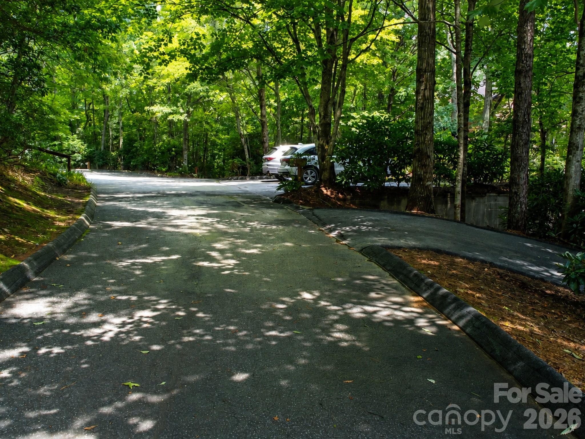 A Subdivision Road - 121 Toxaway Views Drive, Lake Toxaway