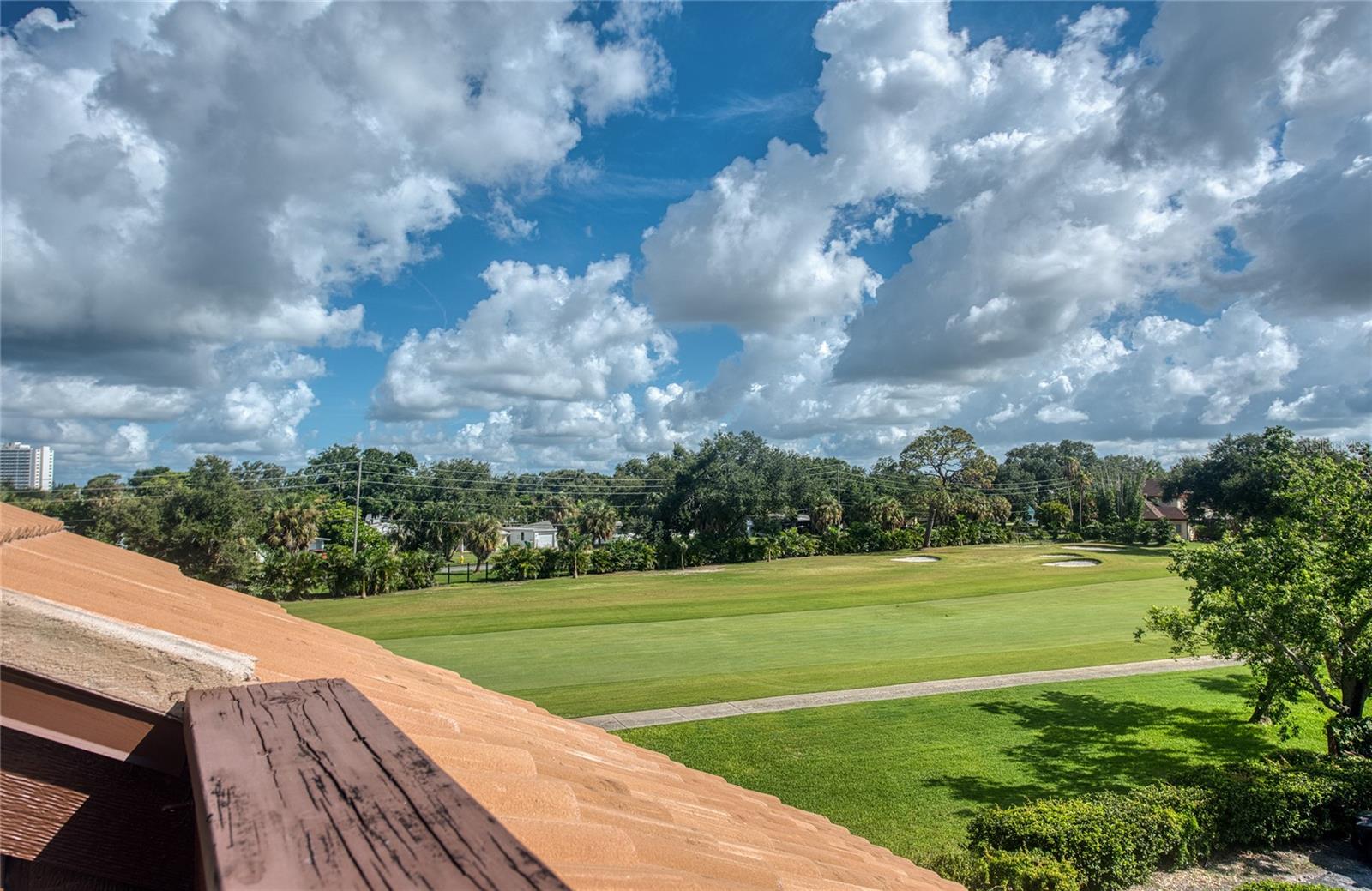 Condominium at 1328 PELICAN CREEK XING #D, ST PETERSBURG, photo 32 of 96