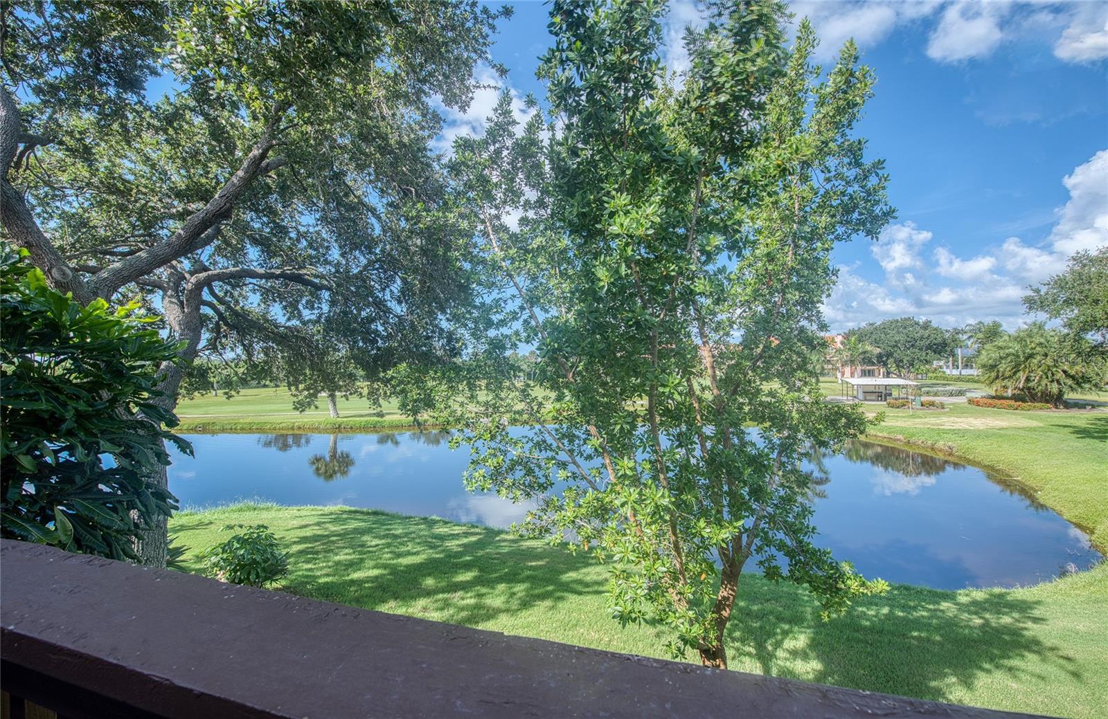 View from living room balcony - 1328 PELICAN CREEK XING #D, ST PETERSBURG