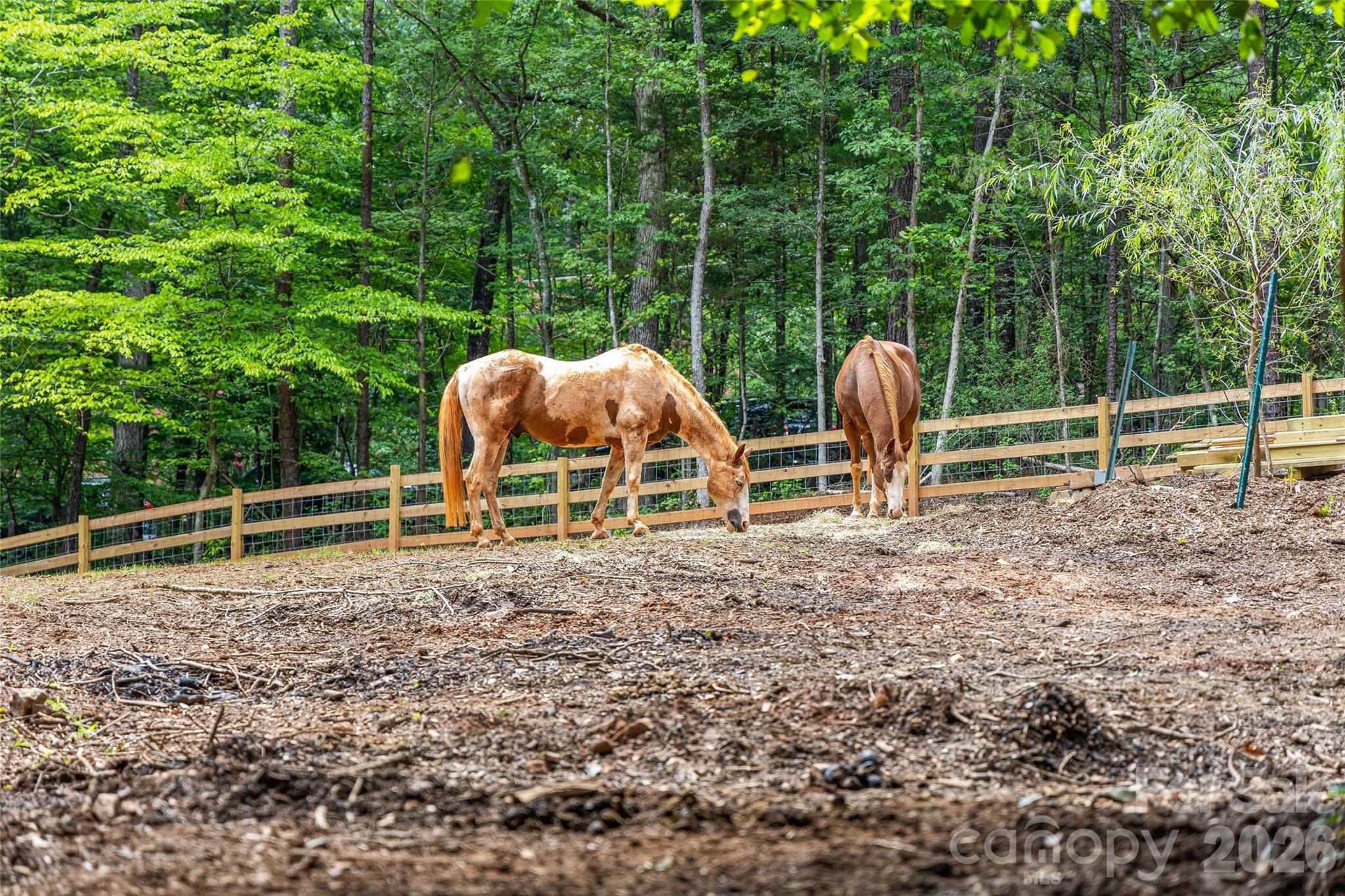 Fenced Horse Area - 7105 Old Ridge Road, Waxhaw